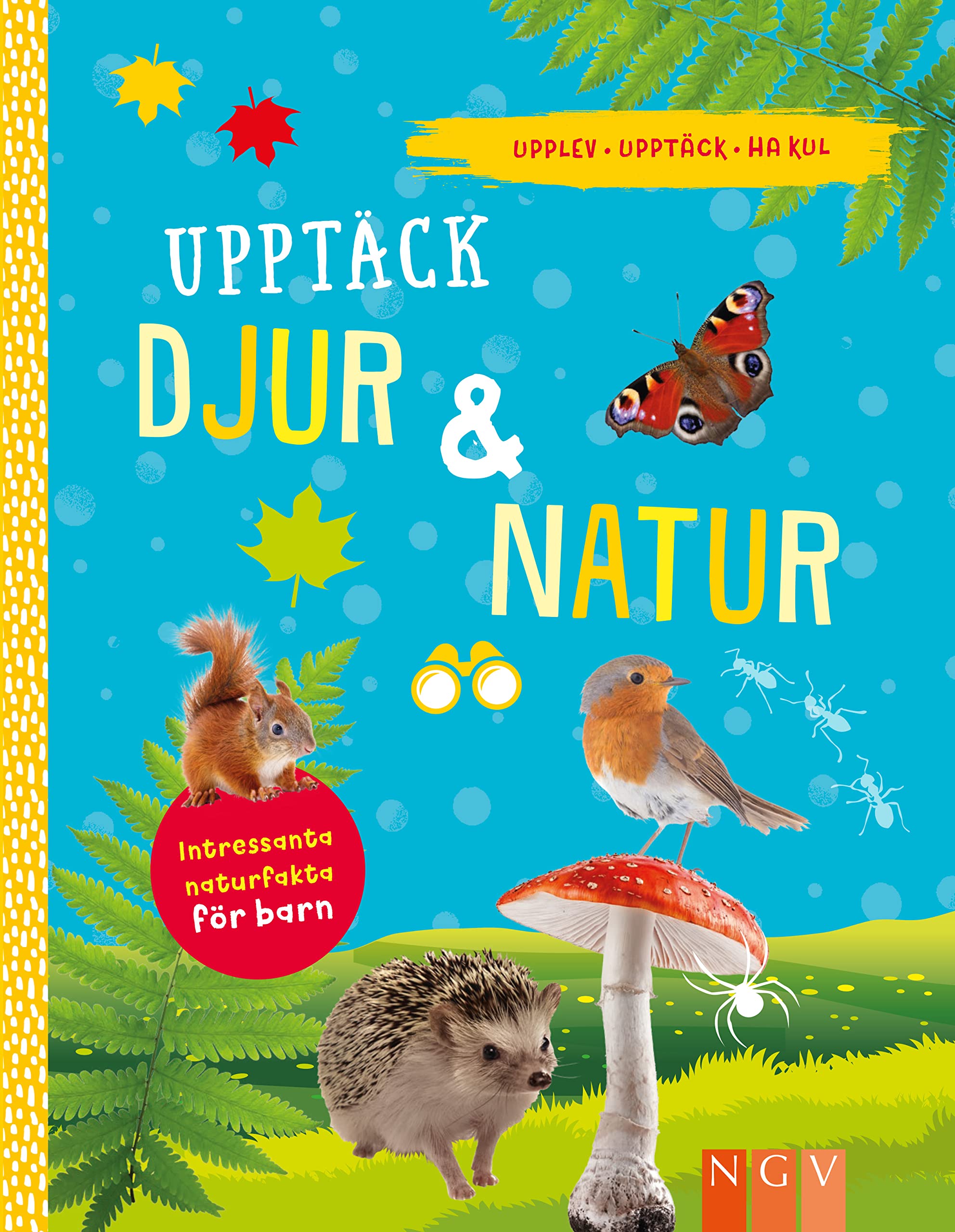 Upptäck djur & natur book
