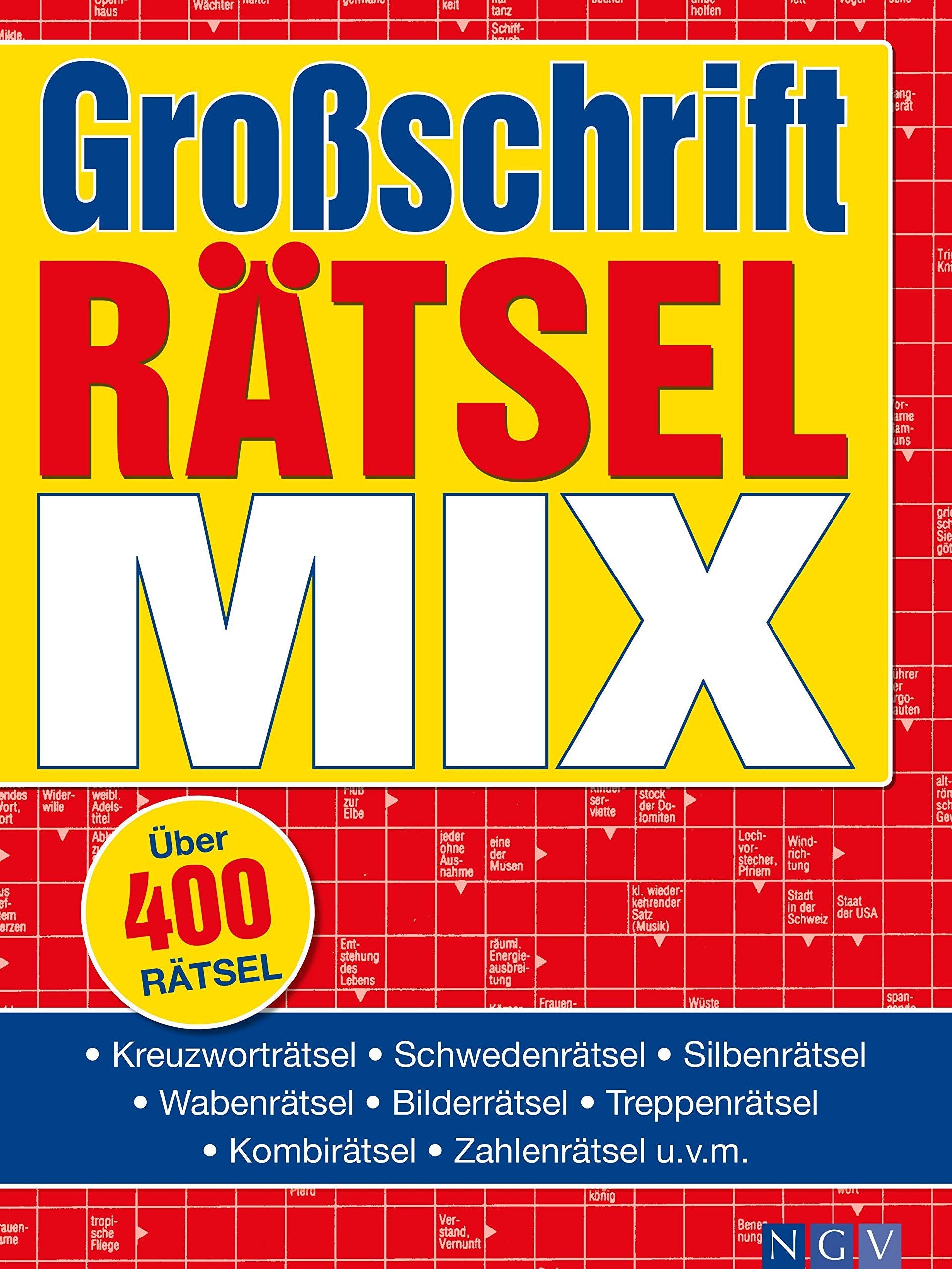Großschrift Rätsel-Mix Business, Finance & Career