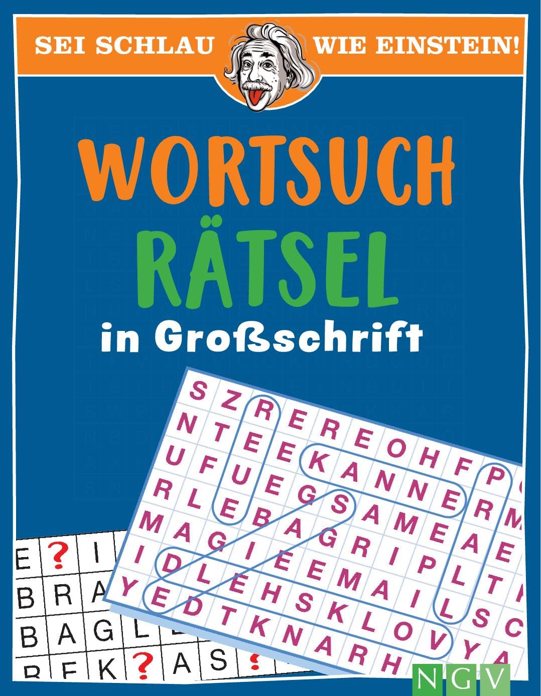 Sei schlau wie Einstein! - Wortsuchrätsel in Großschrift: Rätselspaß ohne Brille Business, Finance & Career