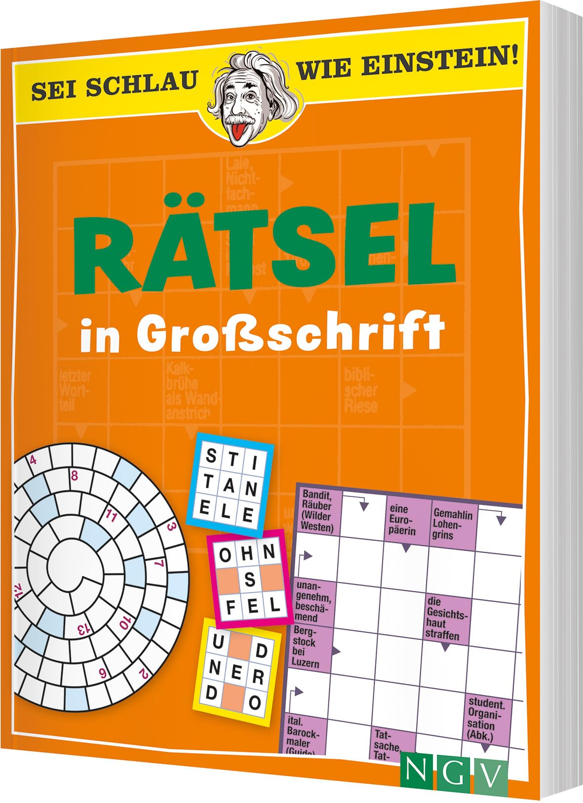 Sei schlau wie Einstein! - Rätsel in Großschrift: Einfach rätseln ohne Brille Business, Finance & Career