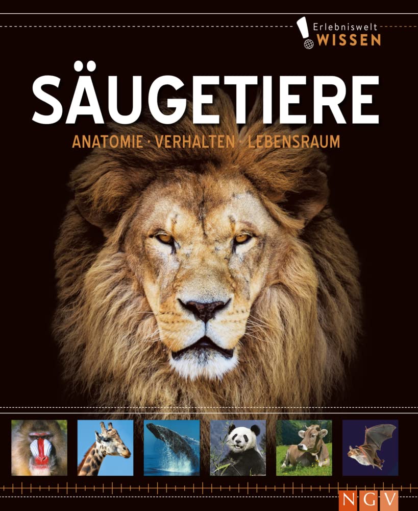 Erlebniswelt Wissen Säugetiere: Anatomie, Verhalten, Lebensräume. Ein Sachbuch für Kinder ab 10 Jahren Natural Sciences
