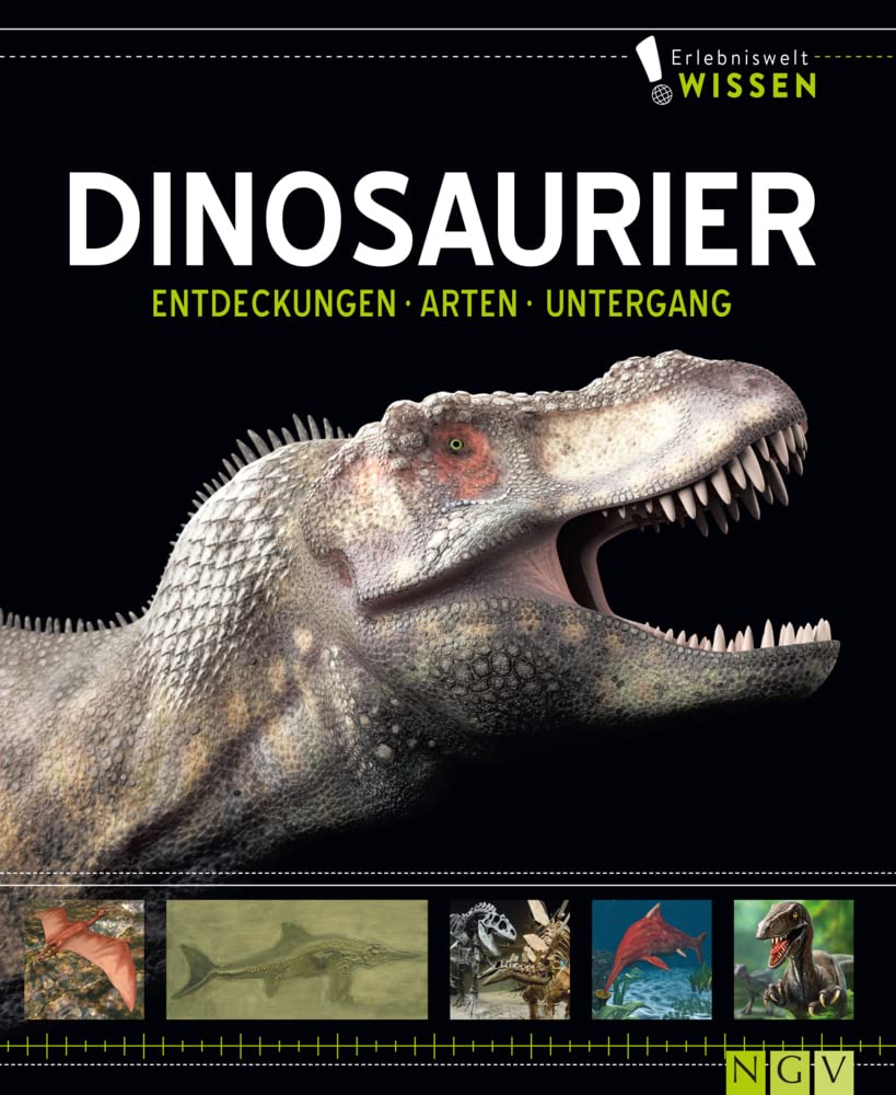 Erlebniswelt Wissen Dinosaurier: Entdeckungen, Arten, Untergang. Ein Sachbuch für Kinder ab 10 Jahren Leisure, Home & Garden