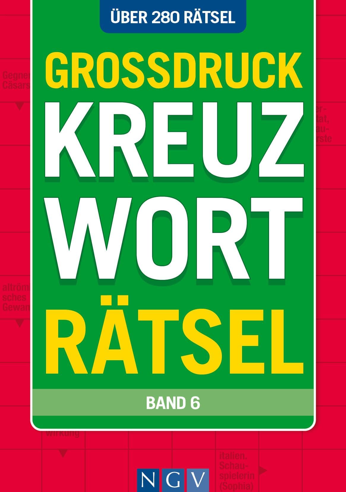 Großdruck Kreuzworträtsel Band 6 Business, Finance & Career