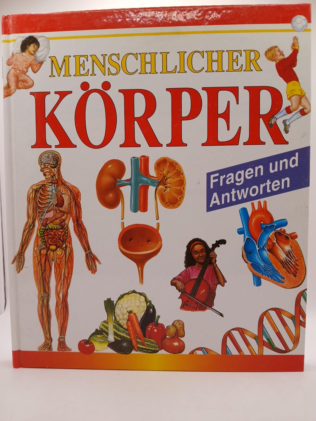 Menschlicher Körper in Fragen und Antworten Books