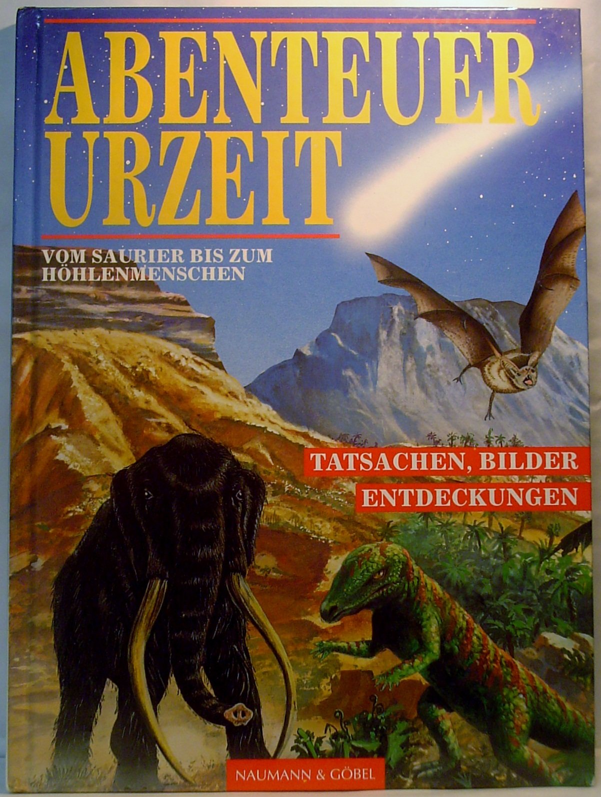 Abenteuer Urzeit - vom Saurier bis zum Höhlenmenschen Books