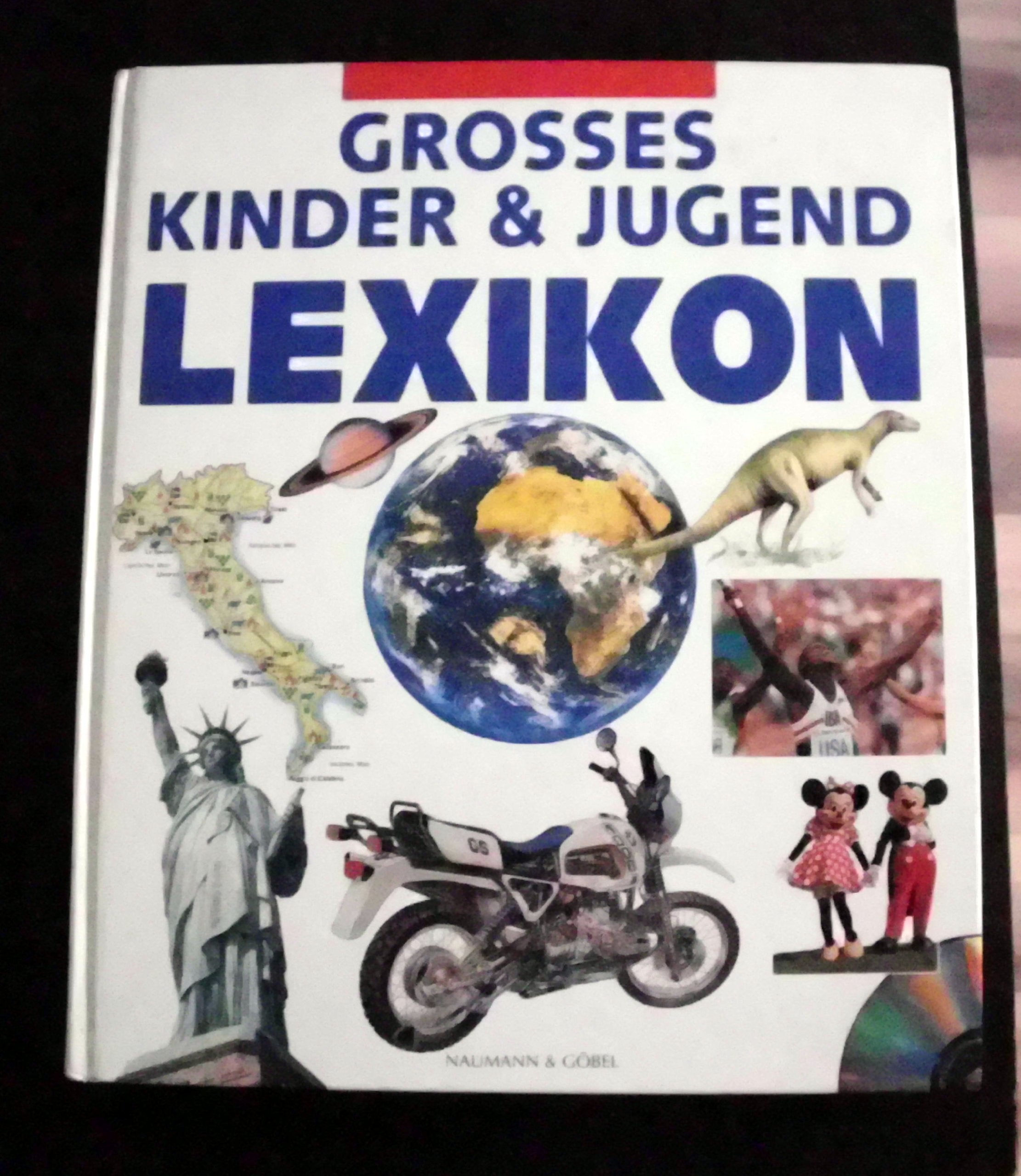 Grosses Kinder- und Jugendlexikon. Über 4500 Stichworte Learning & Reference
