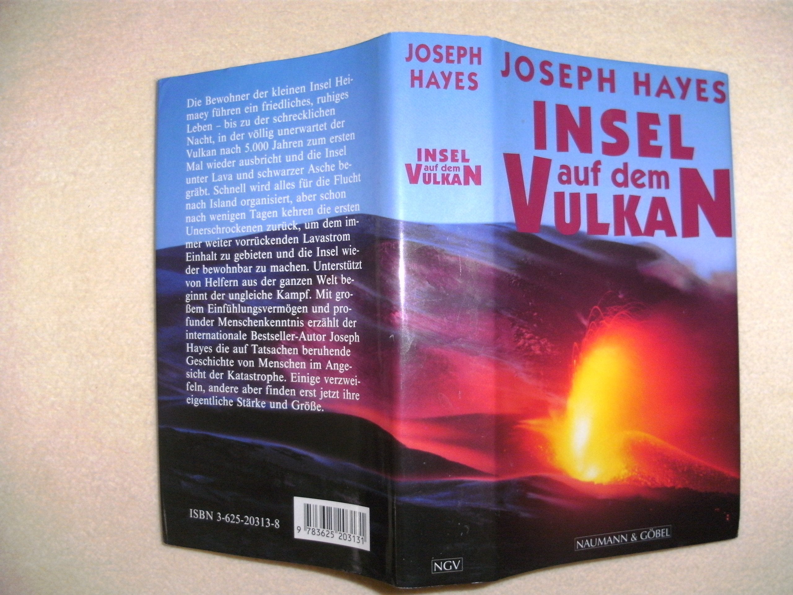 Insel auf dem Vulkan Contemporary literature