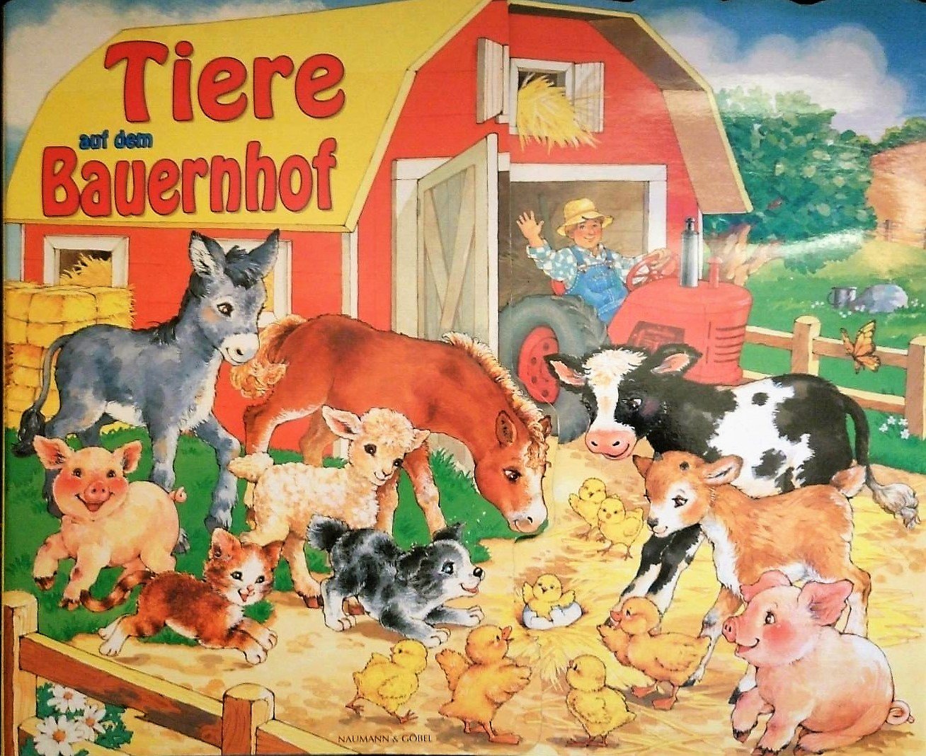 Tiere auf dem Bauernhof (Aufklappbares Panorama m. 12 Bilderbücher) Children's books