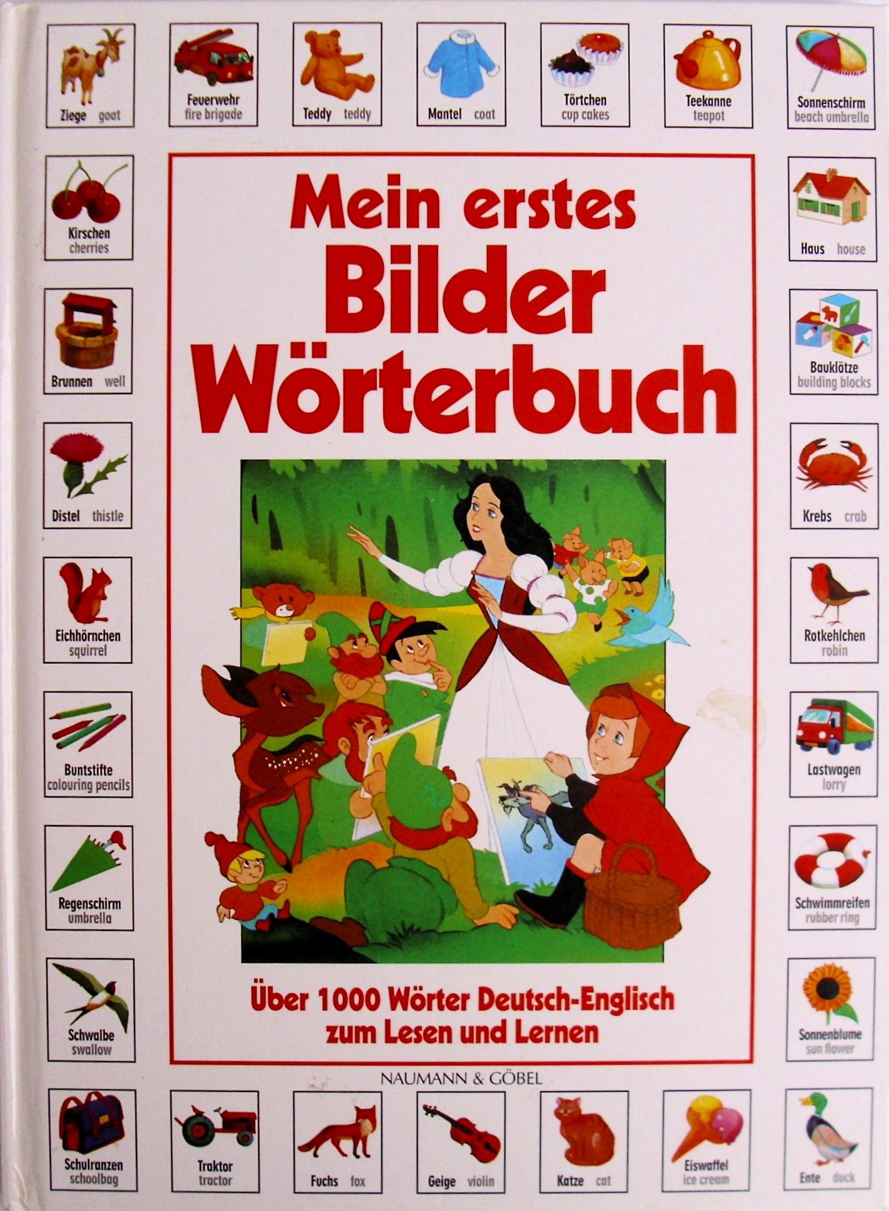 Mein erstes Bilderwörterbuch: Über 1000 Wörter Deutsch-Englisch zum Lesen und Lernen Children's books