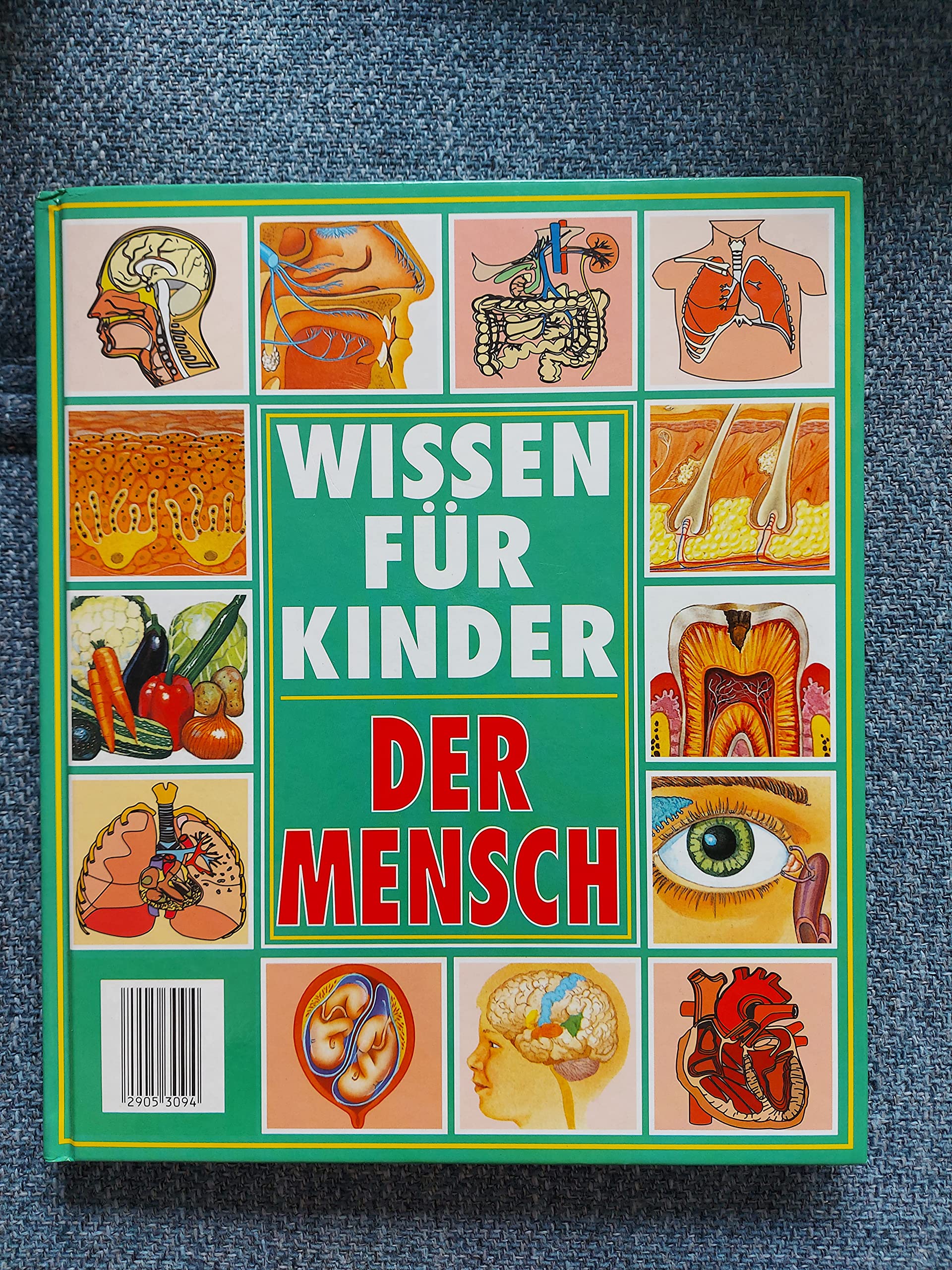 Der Mensch (Wissen für Kinder) Non-fiction