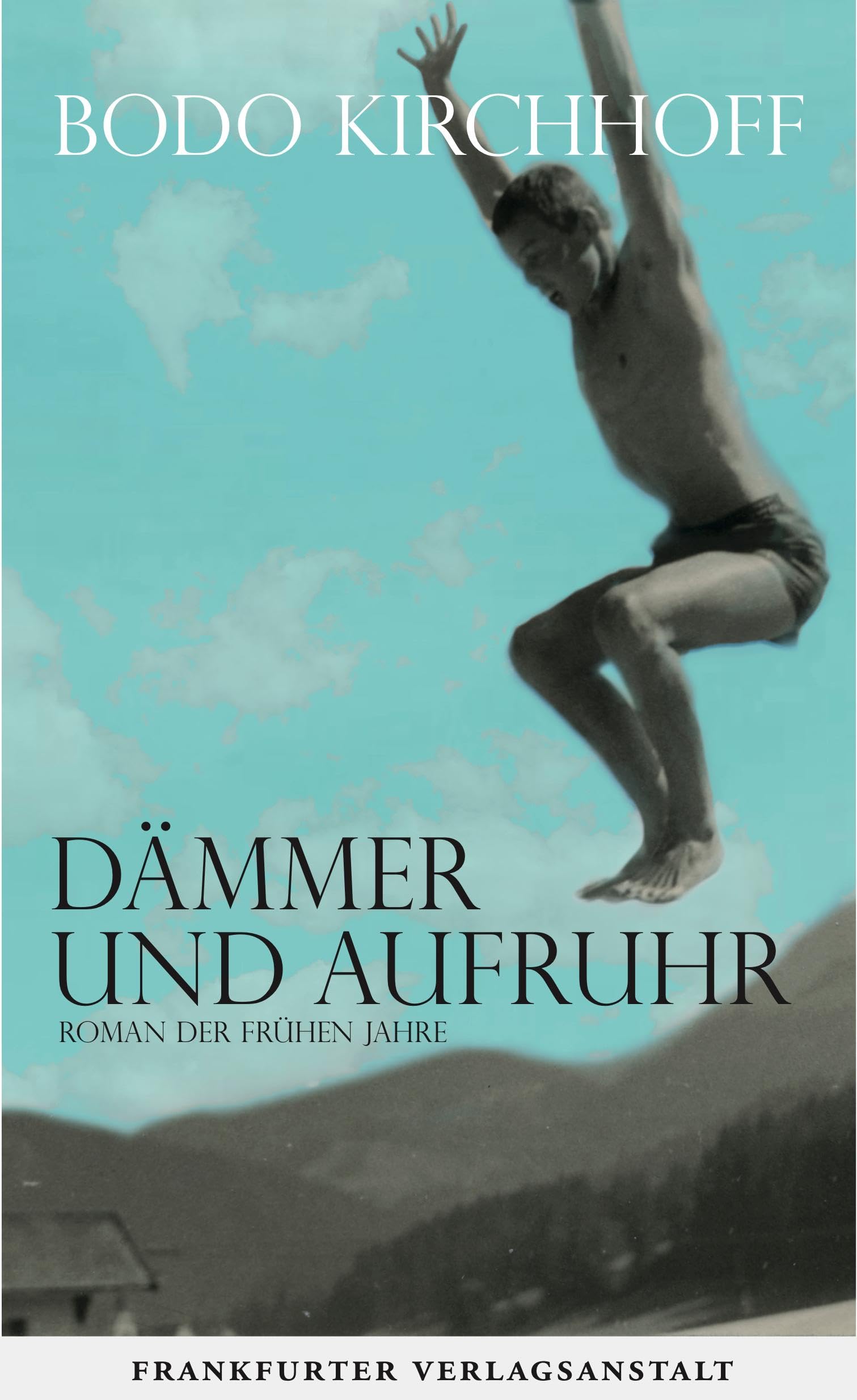 Dämmer und Aufruhr Contemporary literature Books