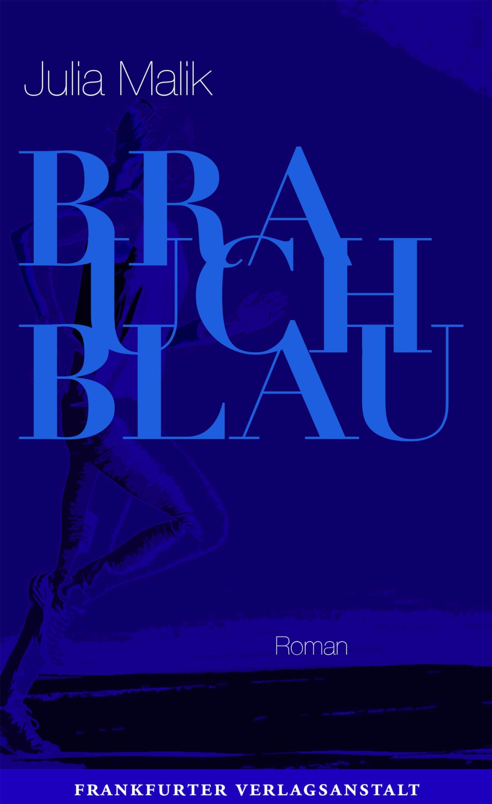 Brauch Blau Contemporary literature Books