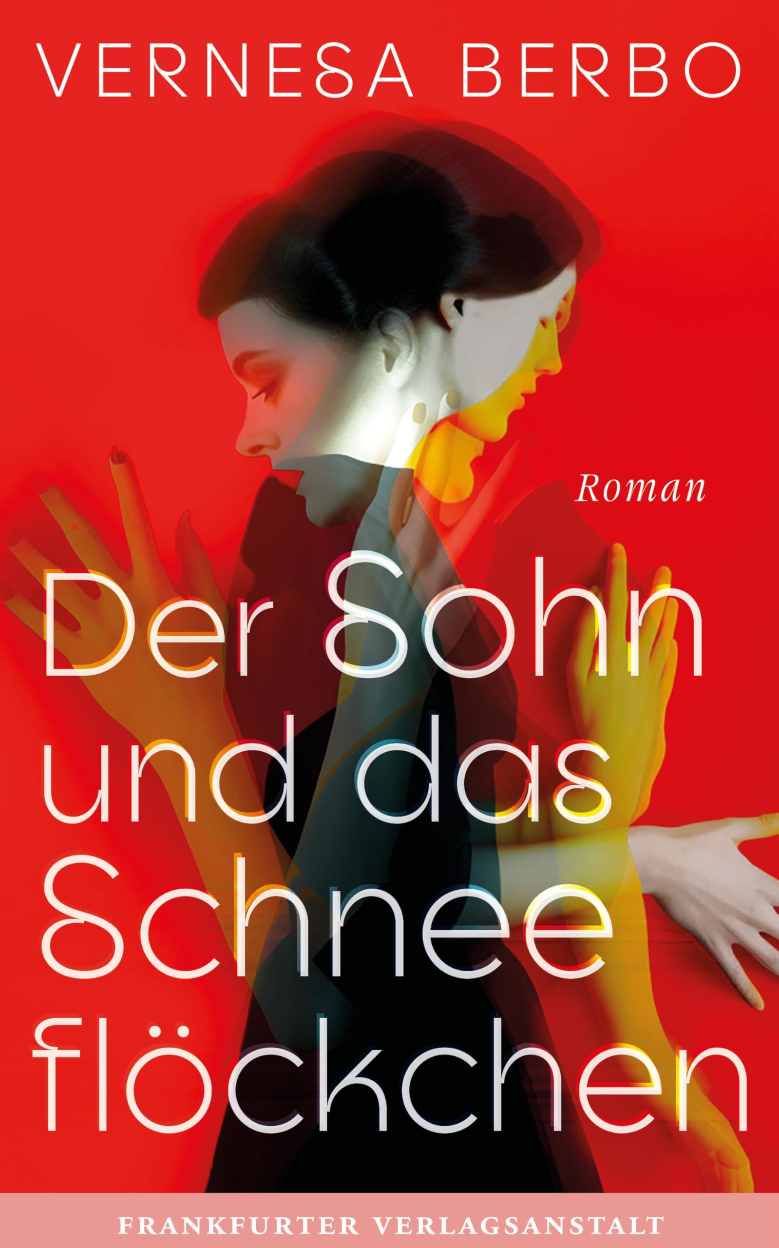 Der Sohn und das Schneeflöckchen Contemporary literature