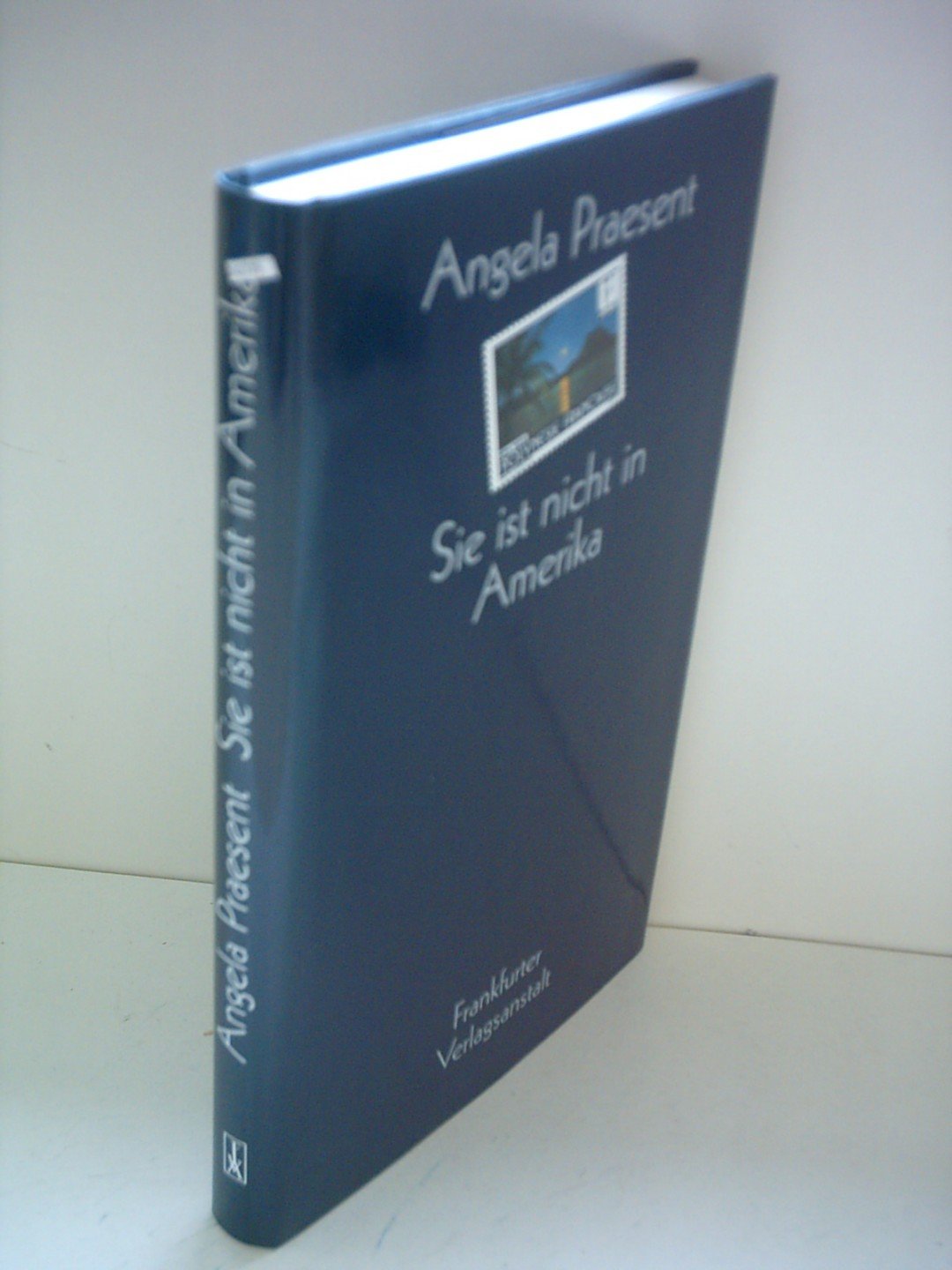 Sie ist nicht in Amerika. Stories Books