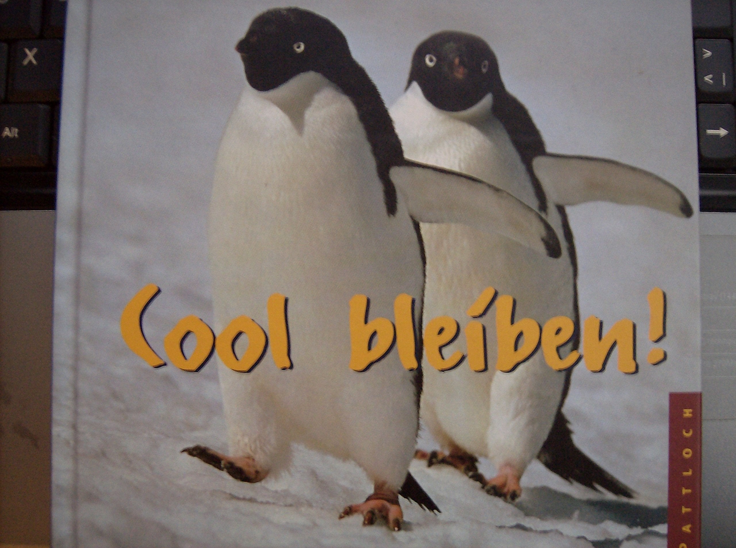 Cool bleiben! Lifestyle