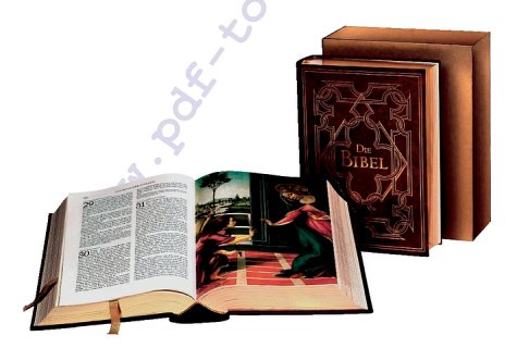 Bibelausgaben, Die Bibel, Familienbibel mit Bildern (Nr.1023) Books