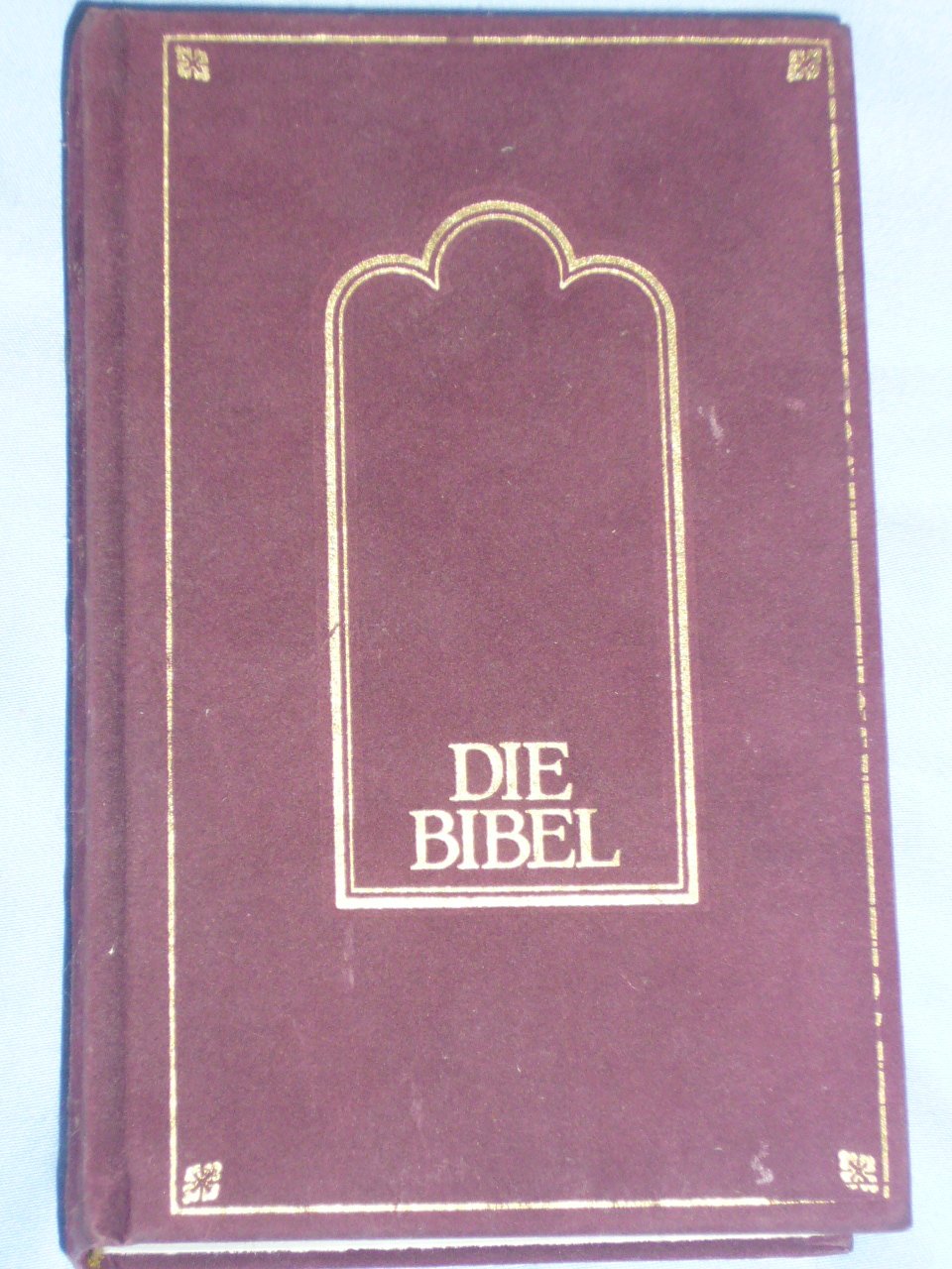 Die Bibel. Die Heilige Schrift des Alten und Neuen Testaments (Pattloch) Religion & Esotericism