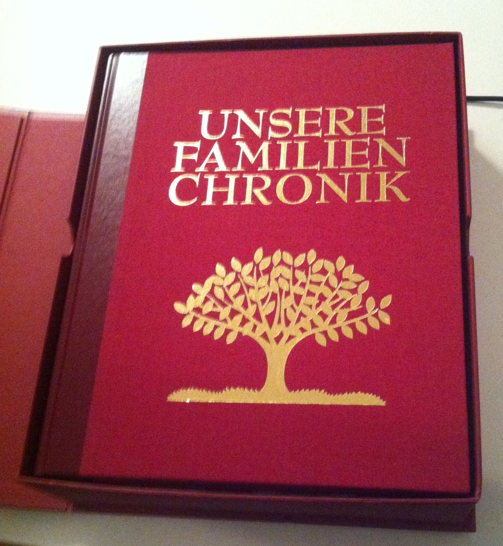Unsere Familienchronik. Erinnerungsalbum, Stammbaum-Poster, CD-ROM u. Begleitbuch Politics & History