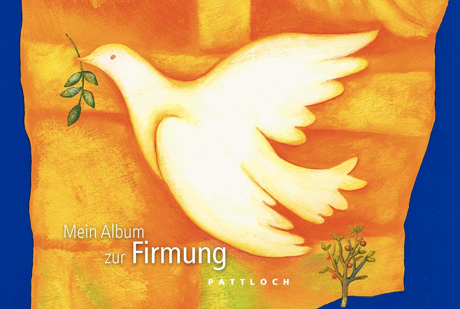 Mein Album zur Firmung Education