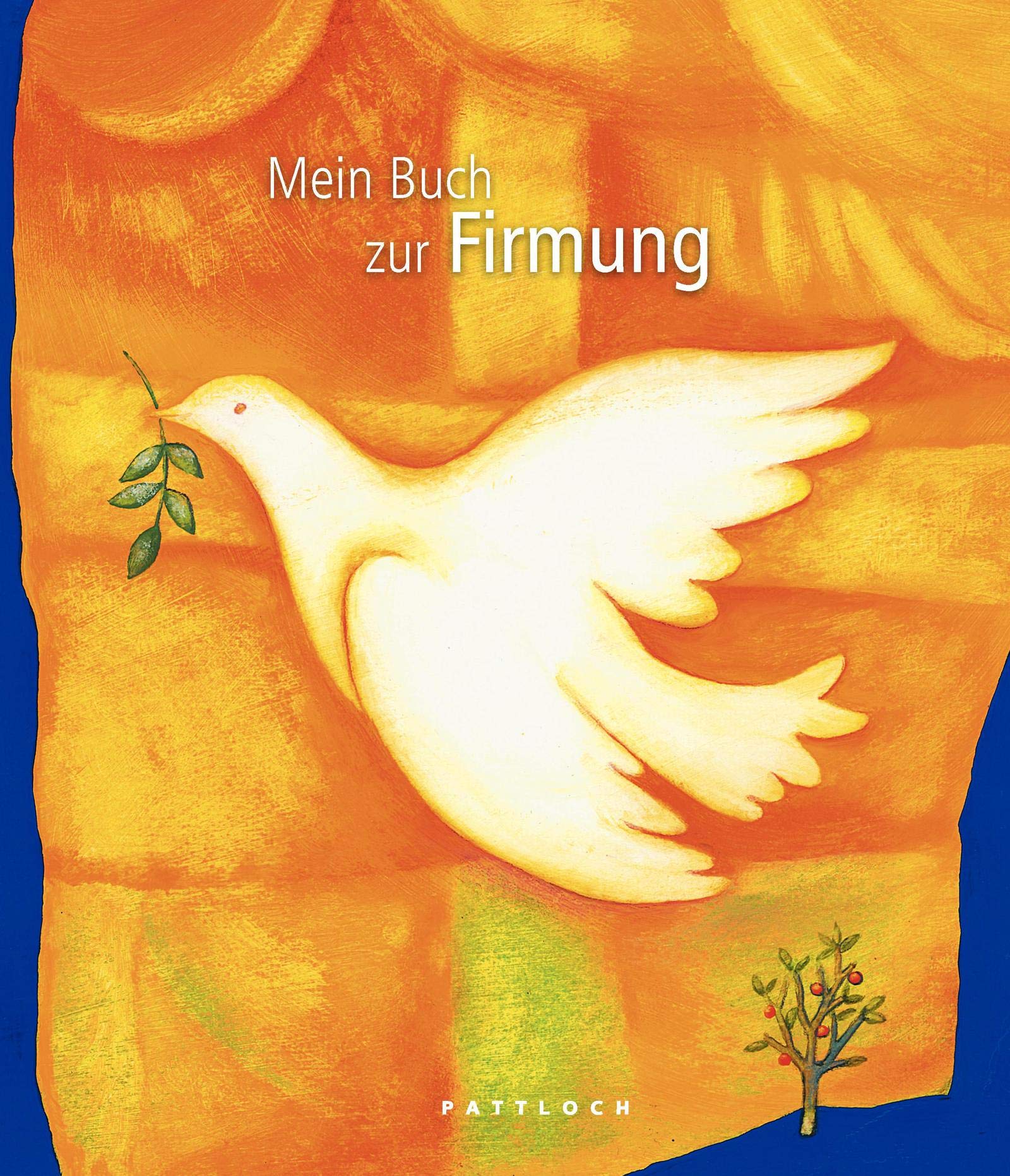 Mein Buch zur Firmung: Mit Platz zur eigenen Gestaltung Lifestyle