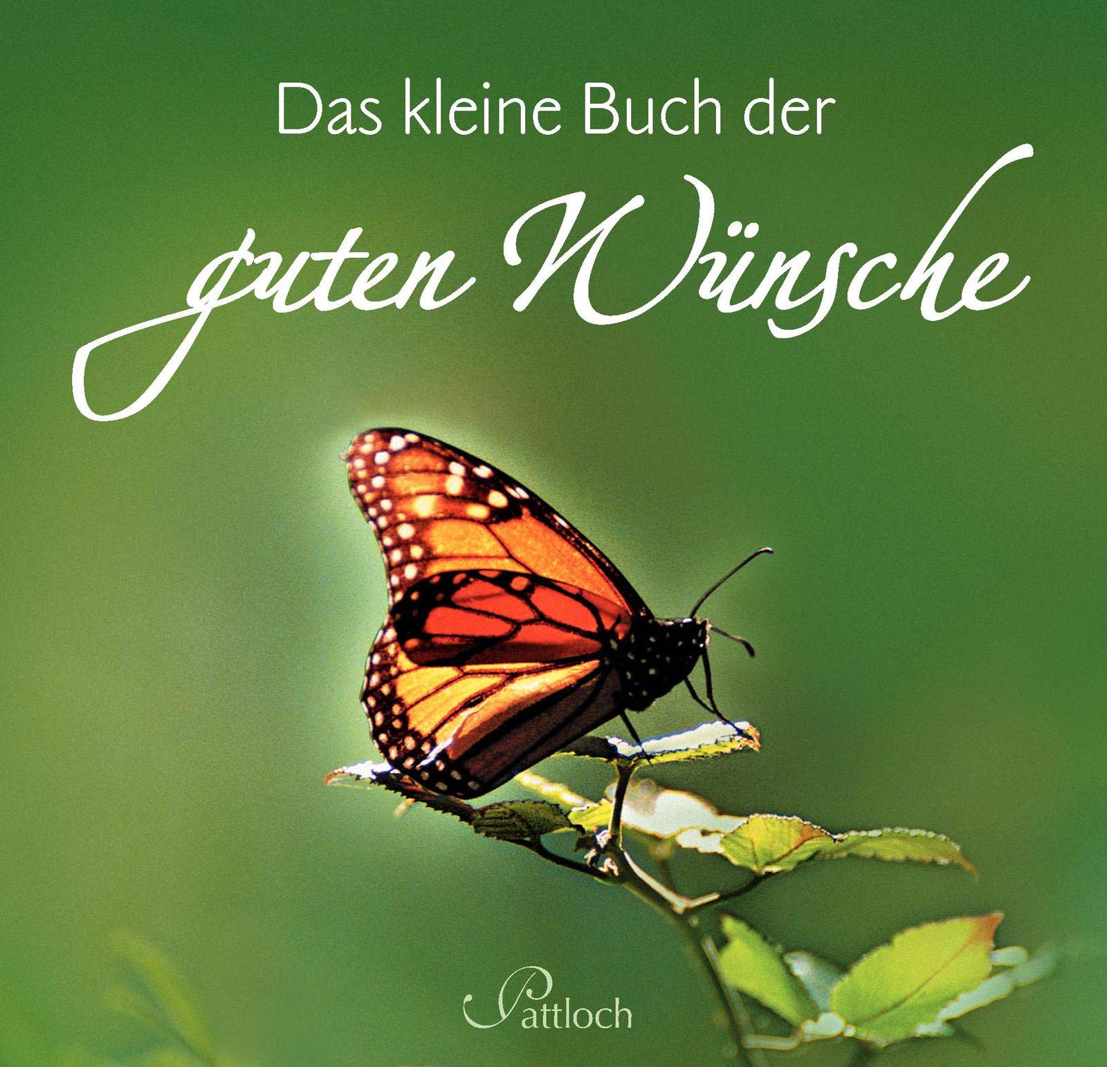 Das kleine Buch der guten Wünsche Lifestyle