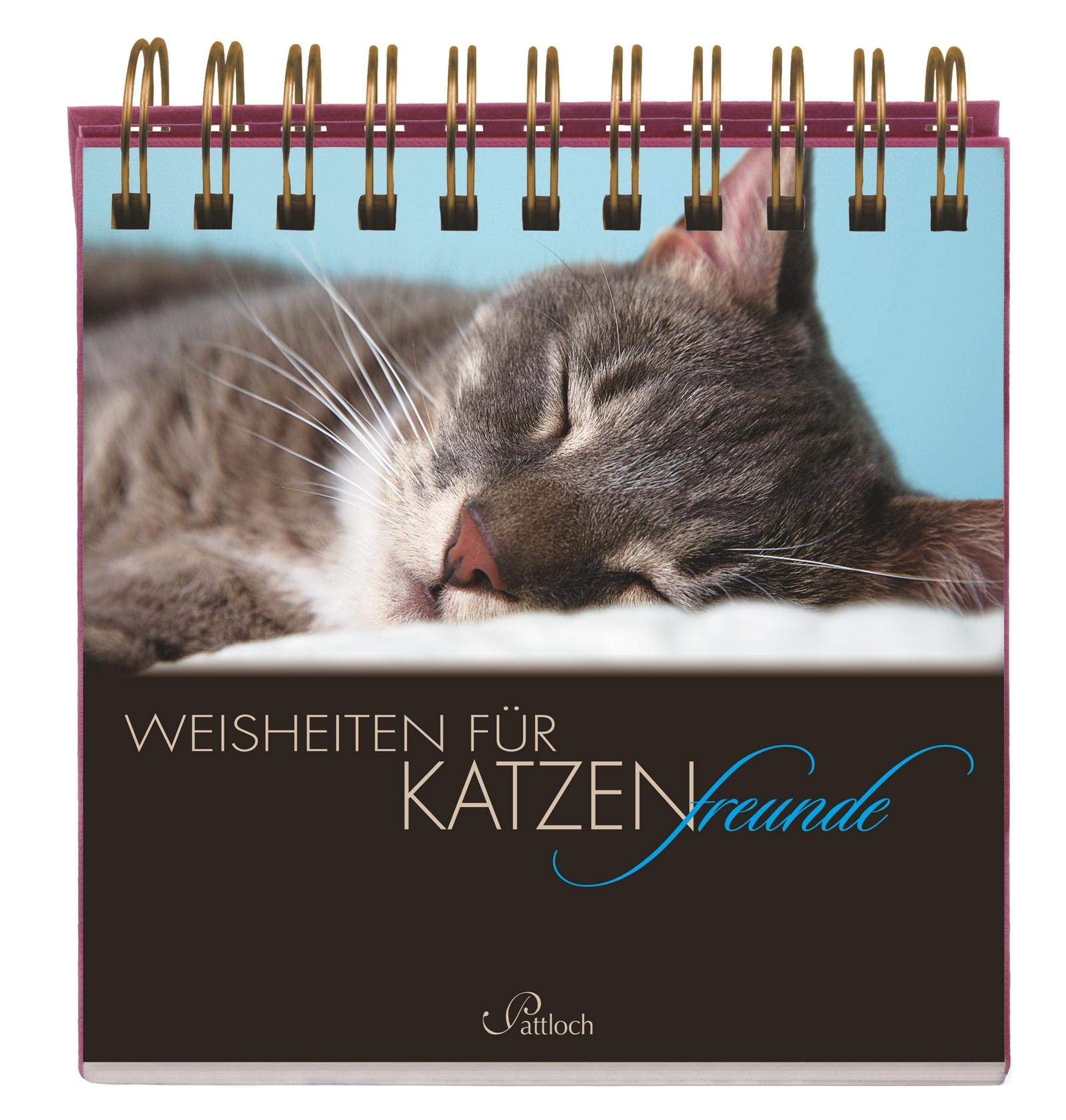 Weisheiten für Katzenfreunde book