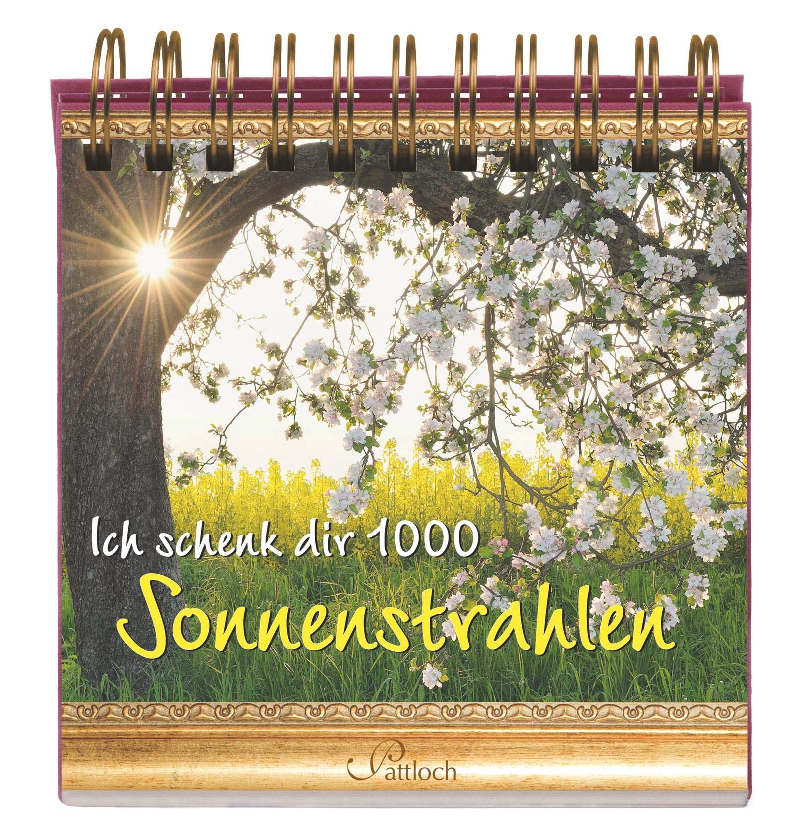 Ich schenk dir 1000 Sonnenstrahlen Lifestyle
