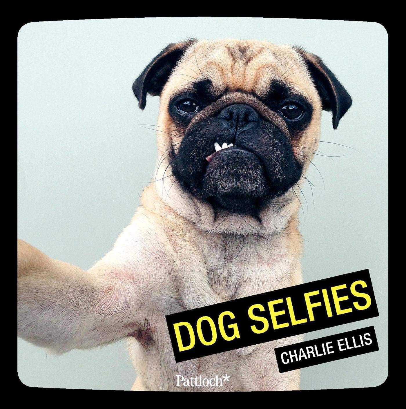 Product Image: Dog Selfies