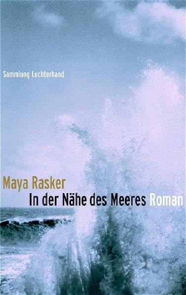 In der Nähe des Meeres: Roman (Sammlung Luchterhand) Contemporary literature