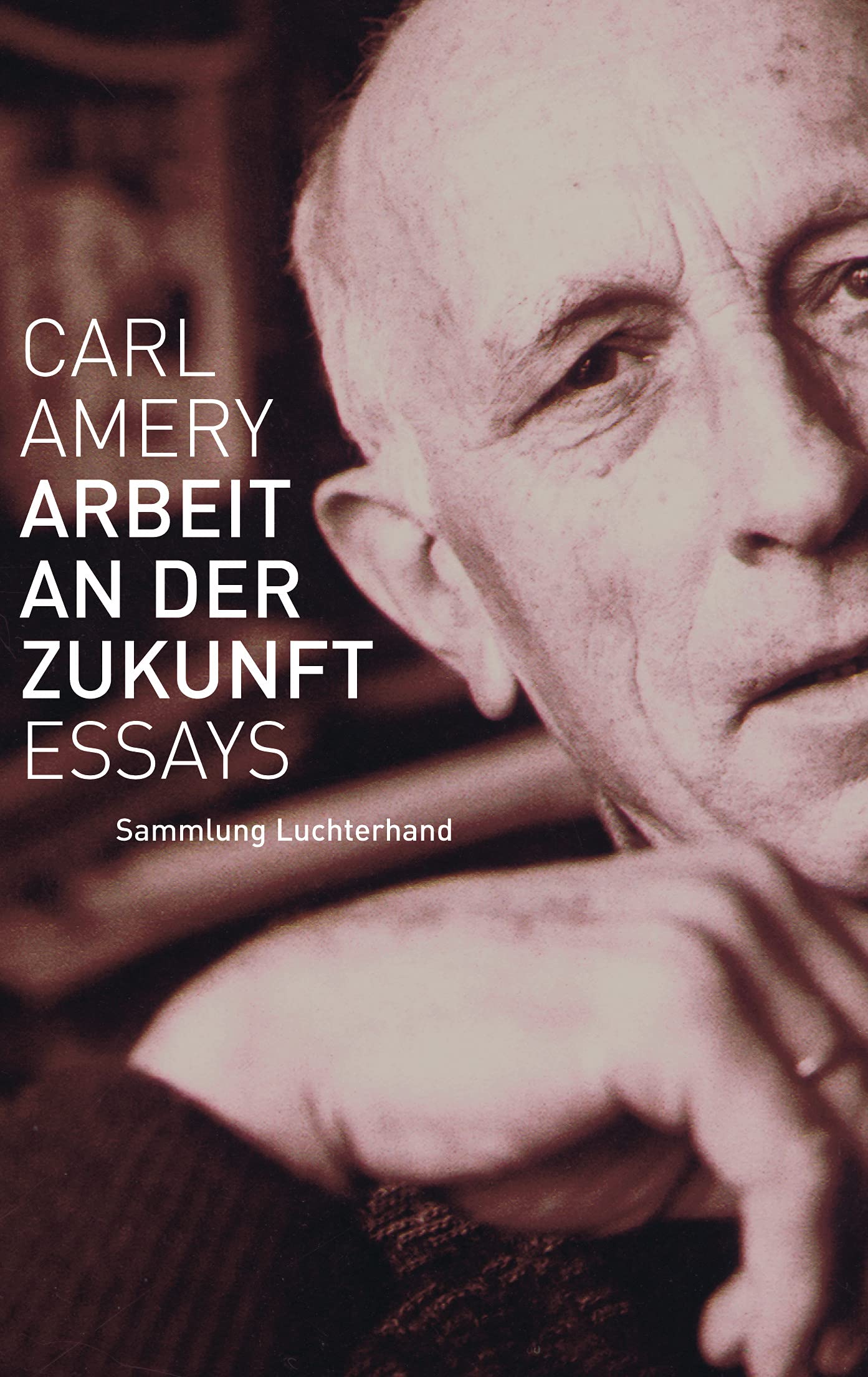 Arbeit an der Zukunft: Essays Social Sciences