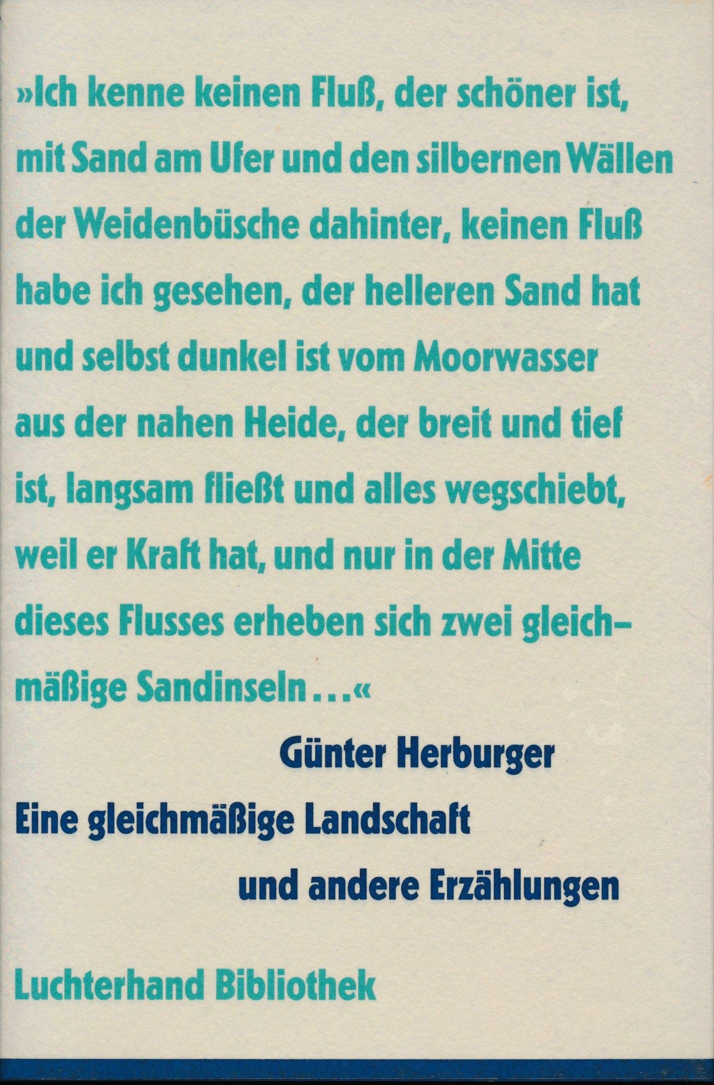 Eine gleichmässige Landschaft und andere Erzählungen Fiction