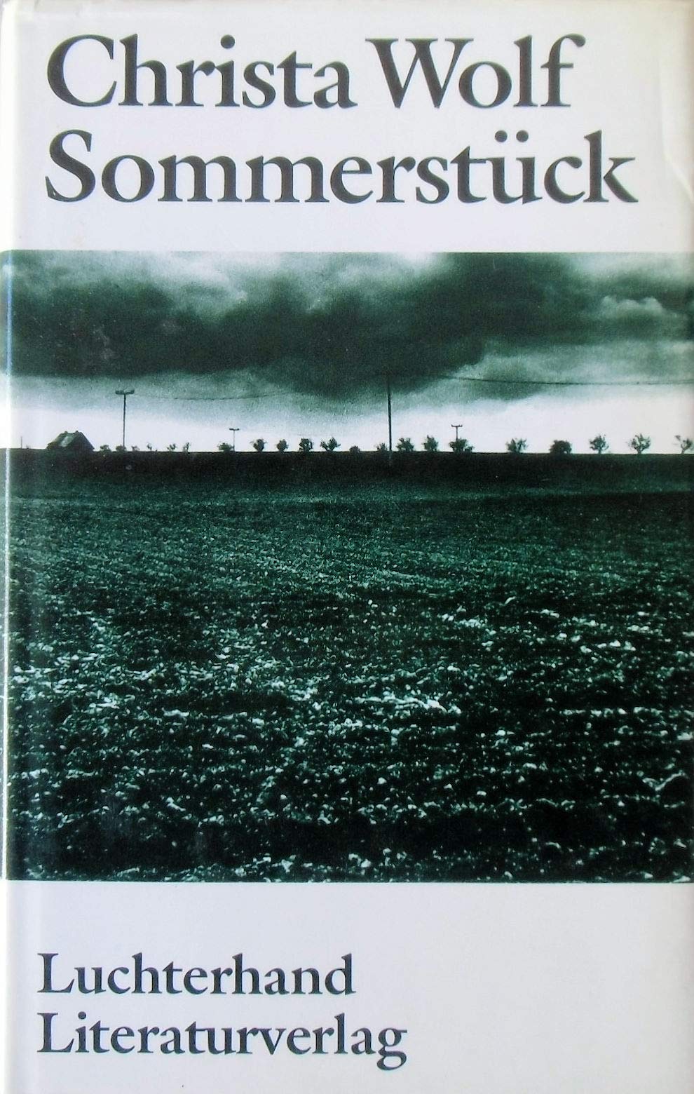 Sommerstück Contemporary literature Books