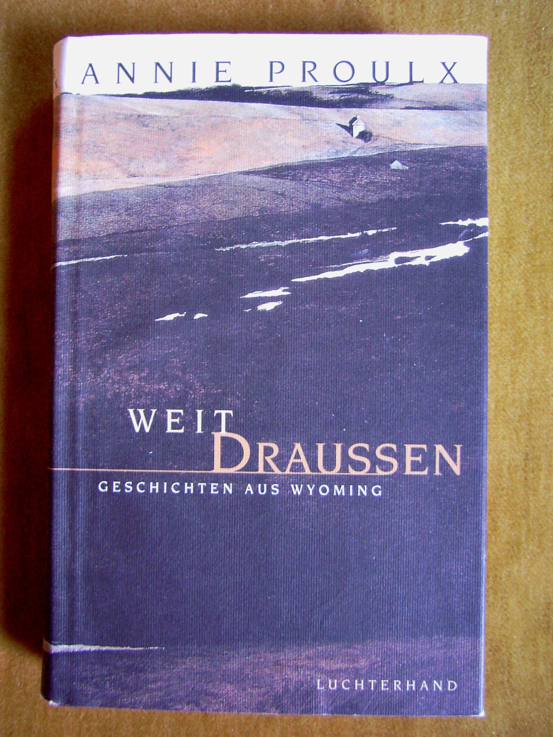Weit draußen. Geschichten aus Wyoming Fiction