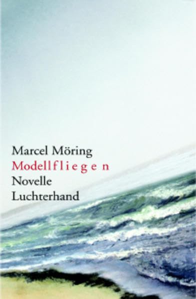 Modellfliegen: Novelle Contemporary literature Books