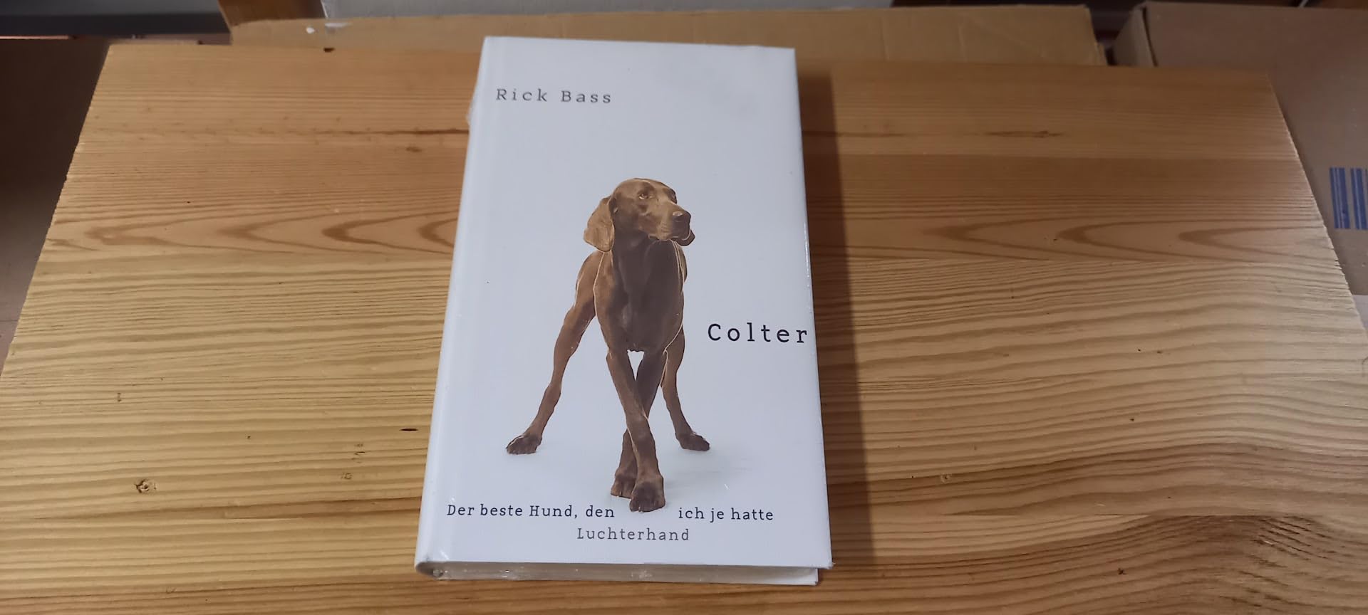 Colter. Der beste Hund, den ich je hatte Memories