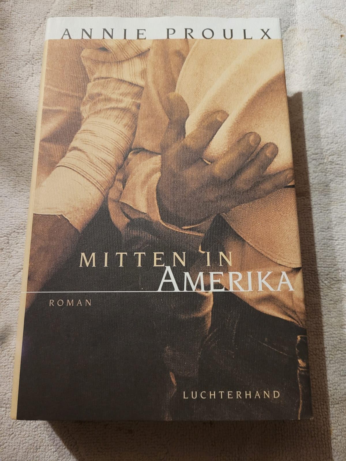 Mitten in Amerika: Roman Contemporary literature