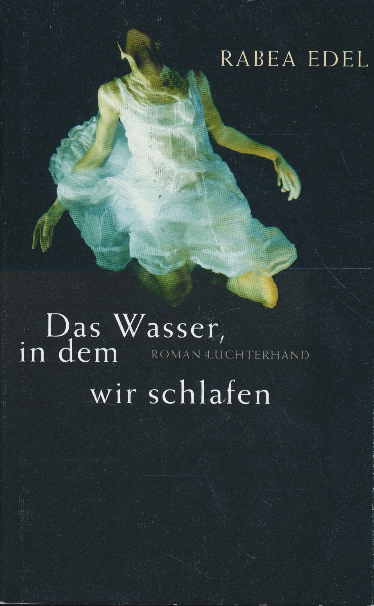 Das Wasser, in dem wir schlafen: Roman Fiction