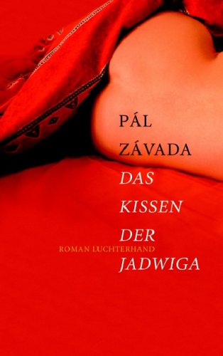 Das Kissen der Jadwiga: Roman Fiction