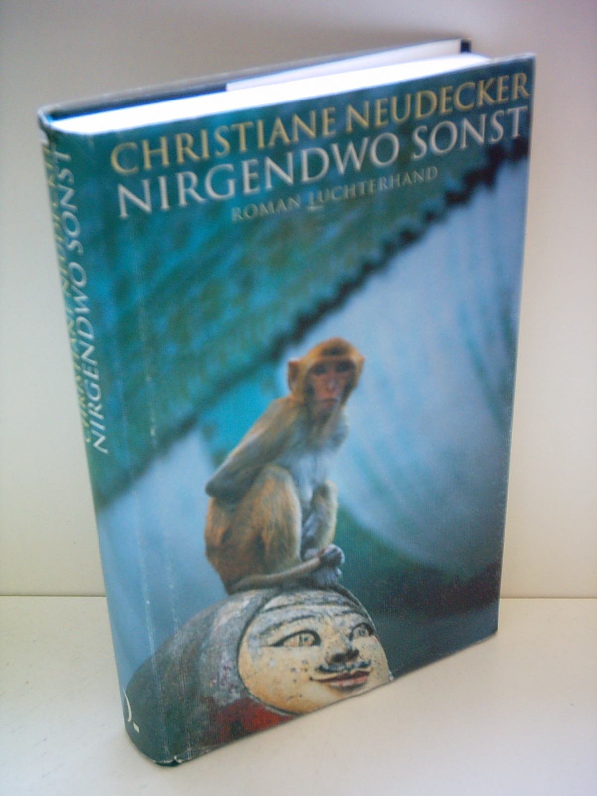 Nirgendwo sonst Contemporary literature Books