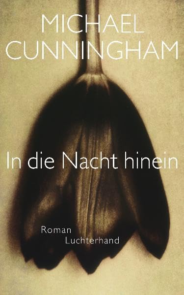 In die Nacht hinein: Roman Contemporary literature