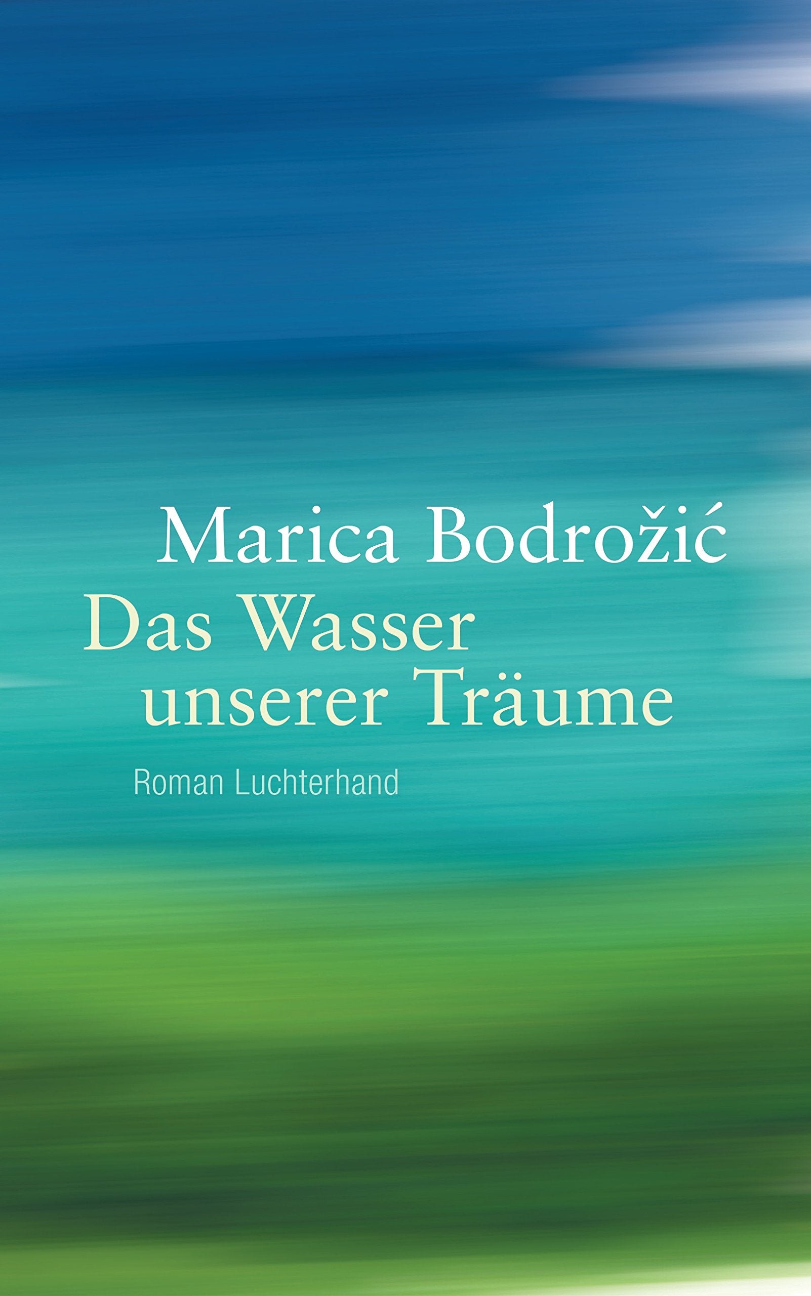 Das Wasser unserer Träume Contemporary literature