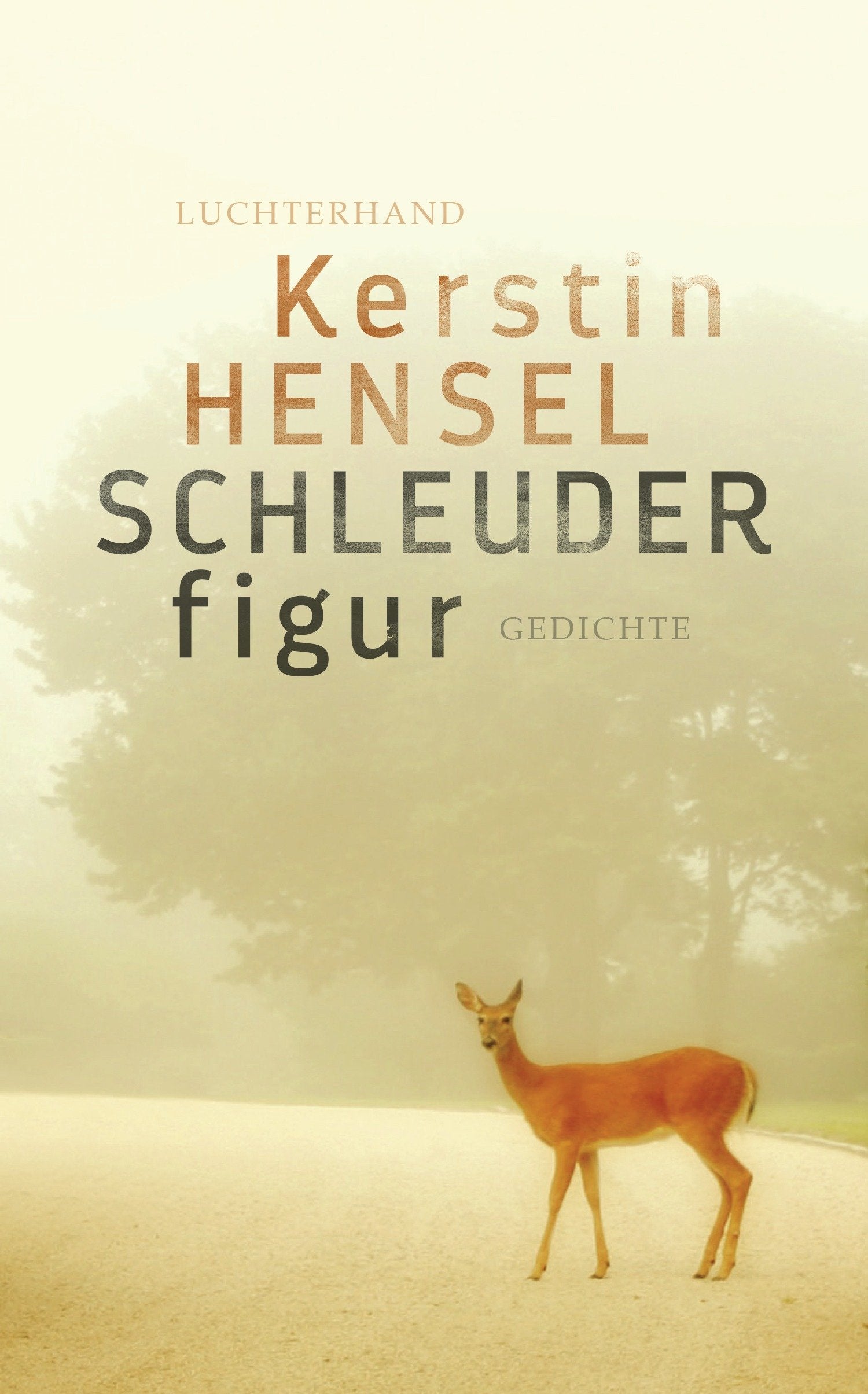 Schleuderfigur: Gedichte Poetry