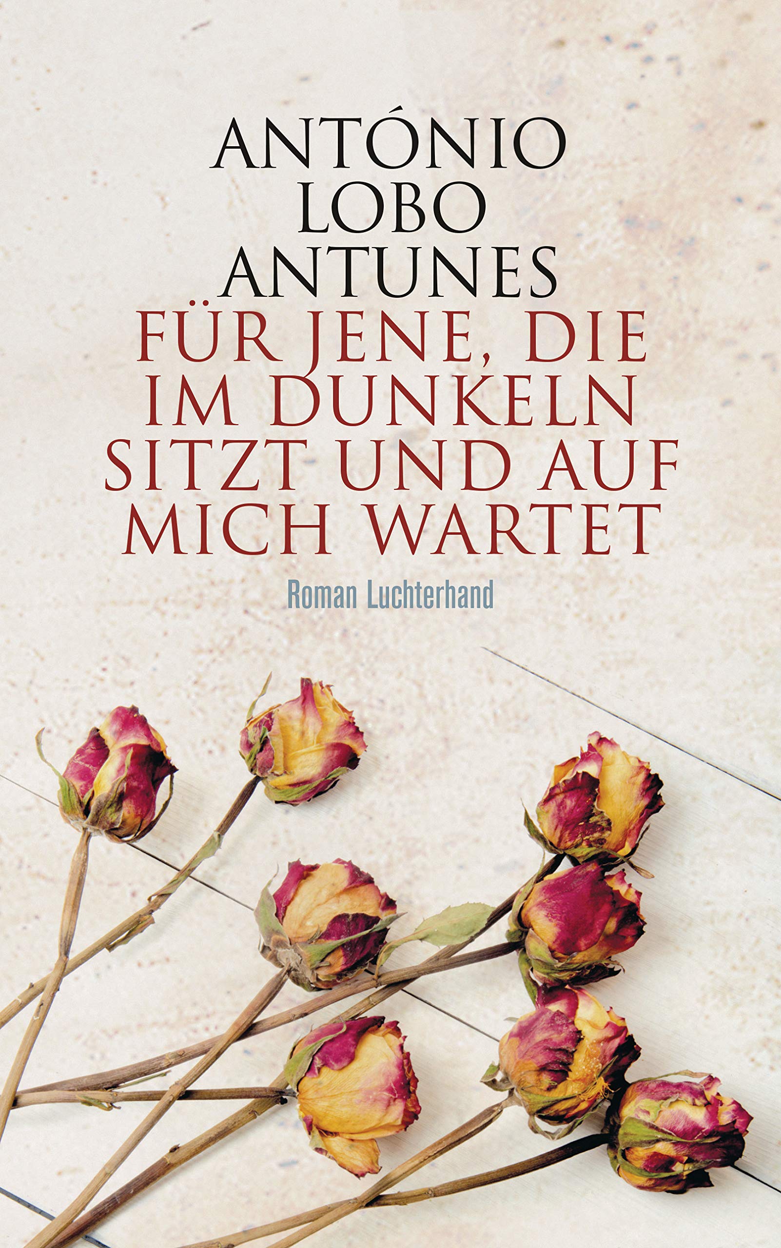 Für jene, die im Dunkeln sitzt und auf mich wartet: Roman Contemporary literature