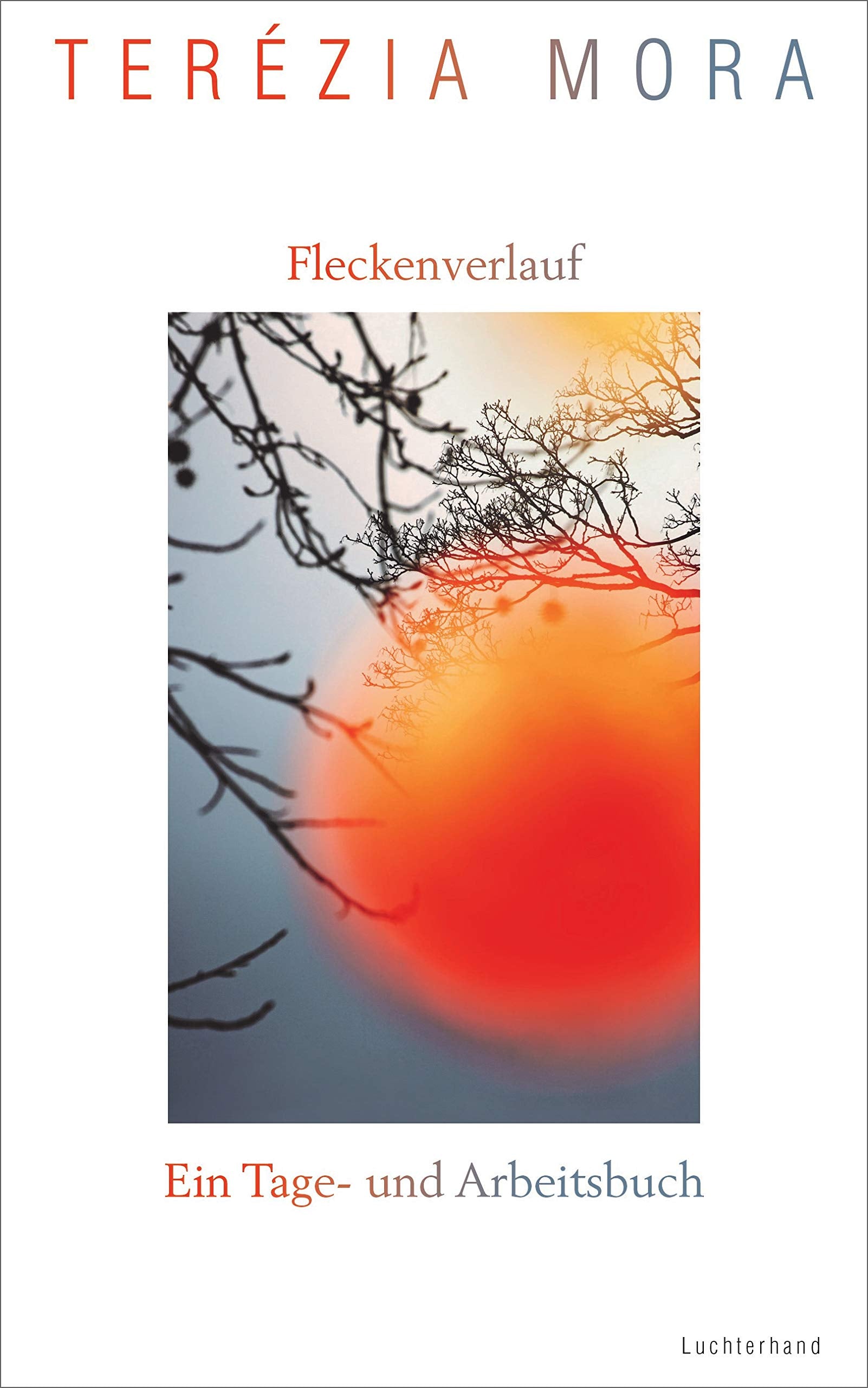 Fleckenverlauf: Ein Tage- und Arbeitsbuch Contemporary literature