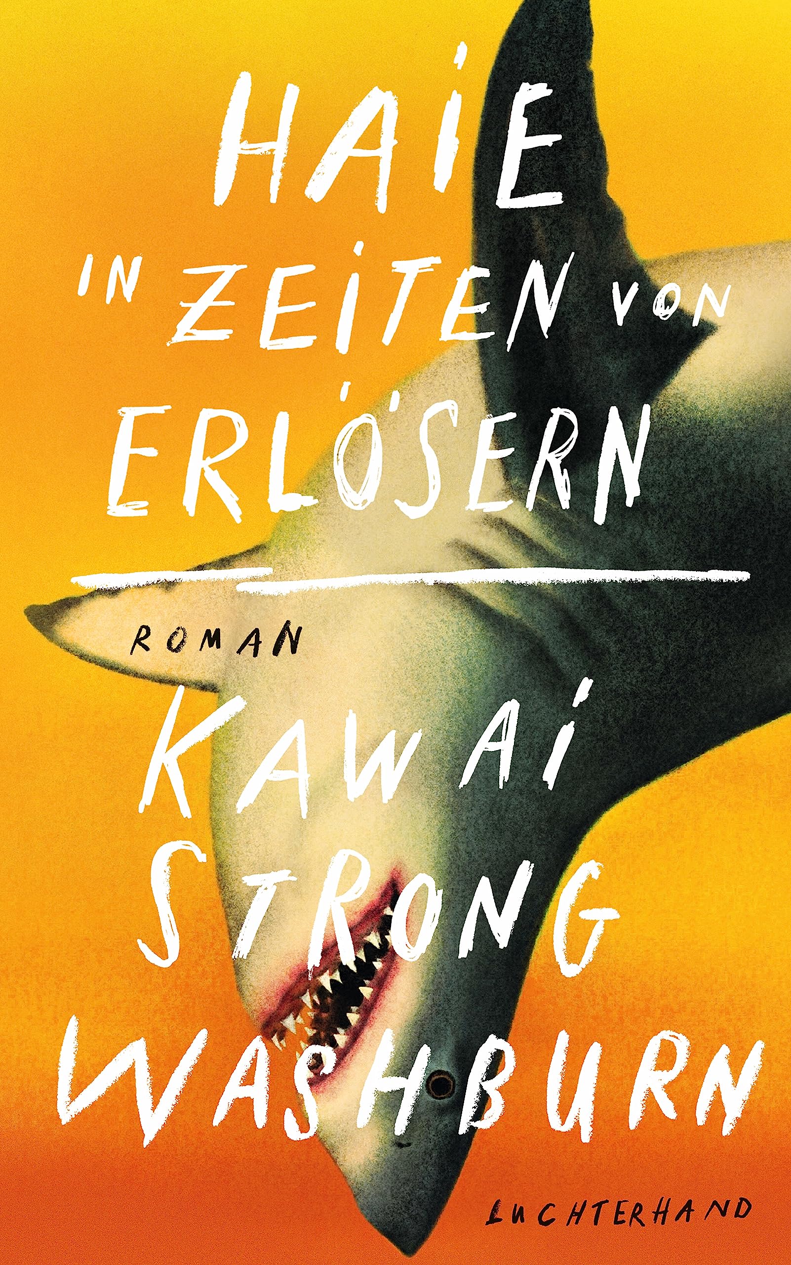Haie in Zeiten von Erlösern Contemporary literature
