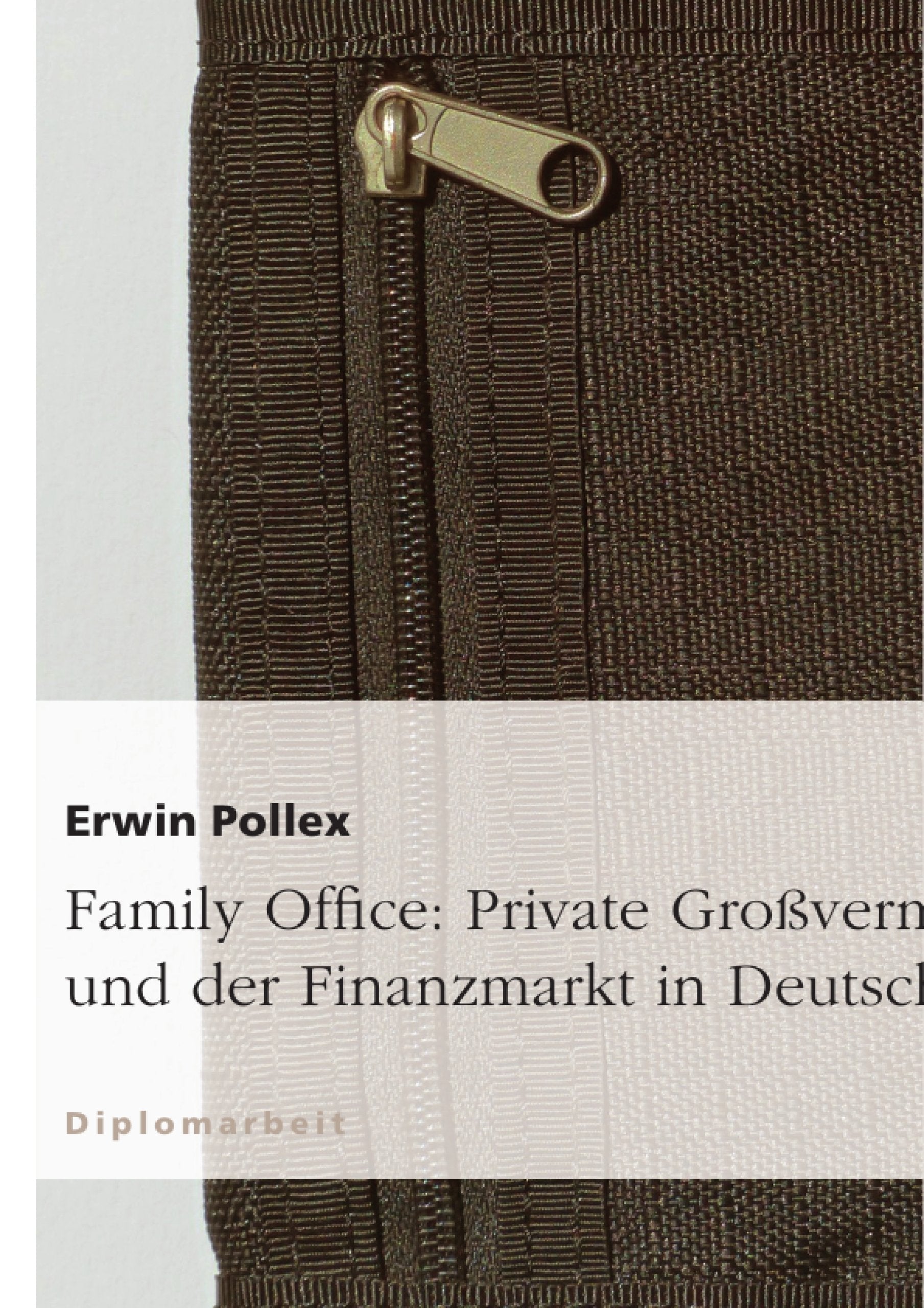 Family Office: Private Großvermögen und der Finanzmarkt in Deutschland Law