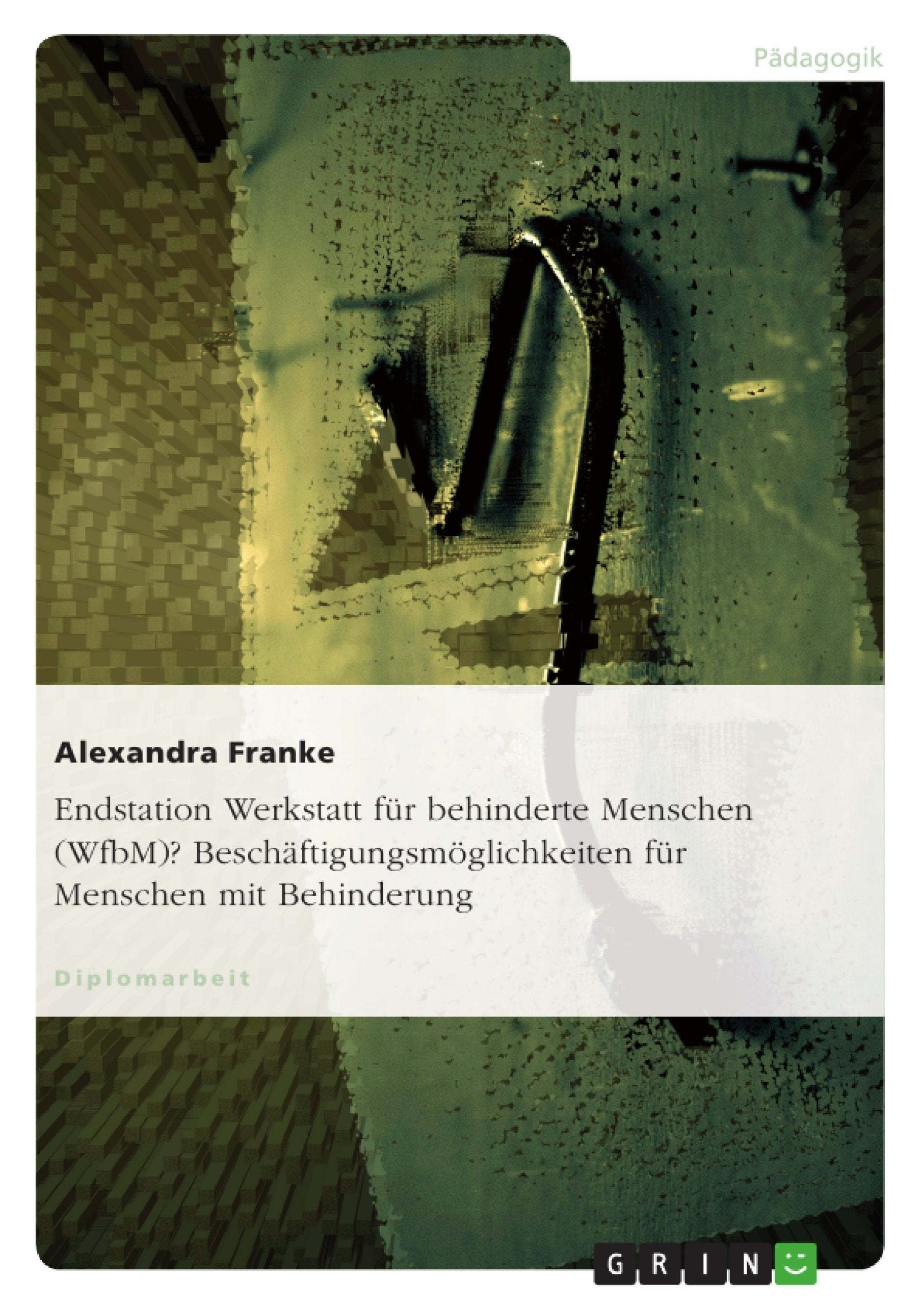 Endstation Werkstatt für behinderte Menschen (WfbM)? Beschäftigungsmöglichkeiten für Menschen mit Behinderung Education & Training