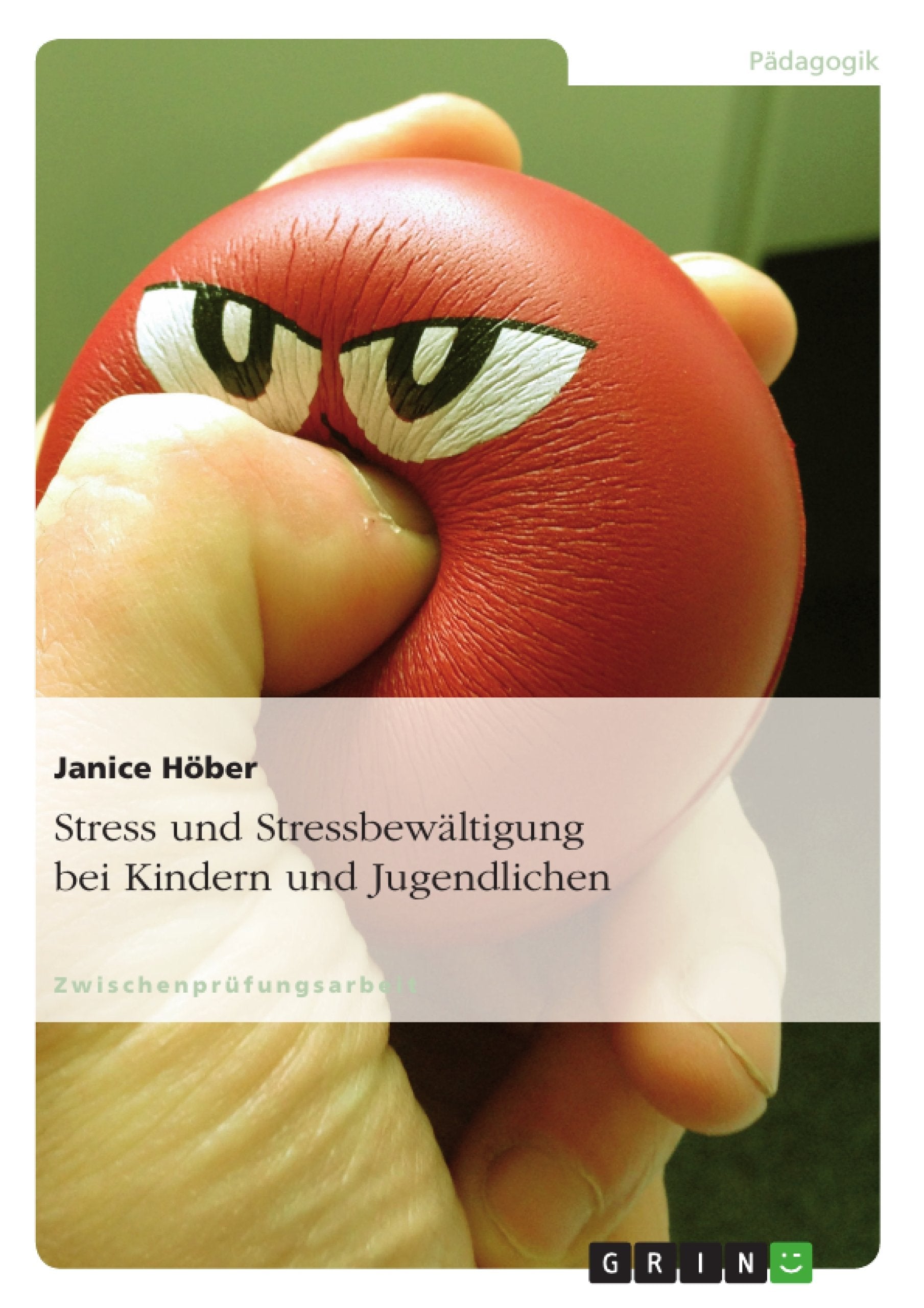 Stress und Stressbewältigung bei Kindern und Jugendlichen Study Guides