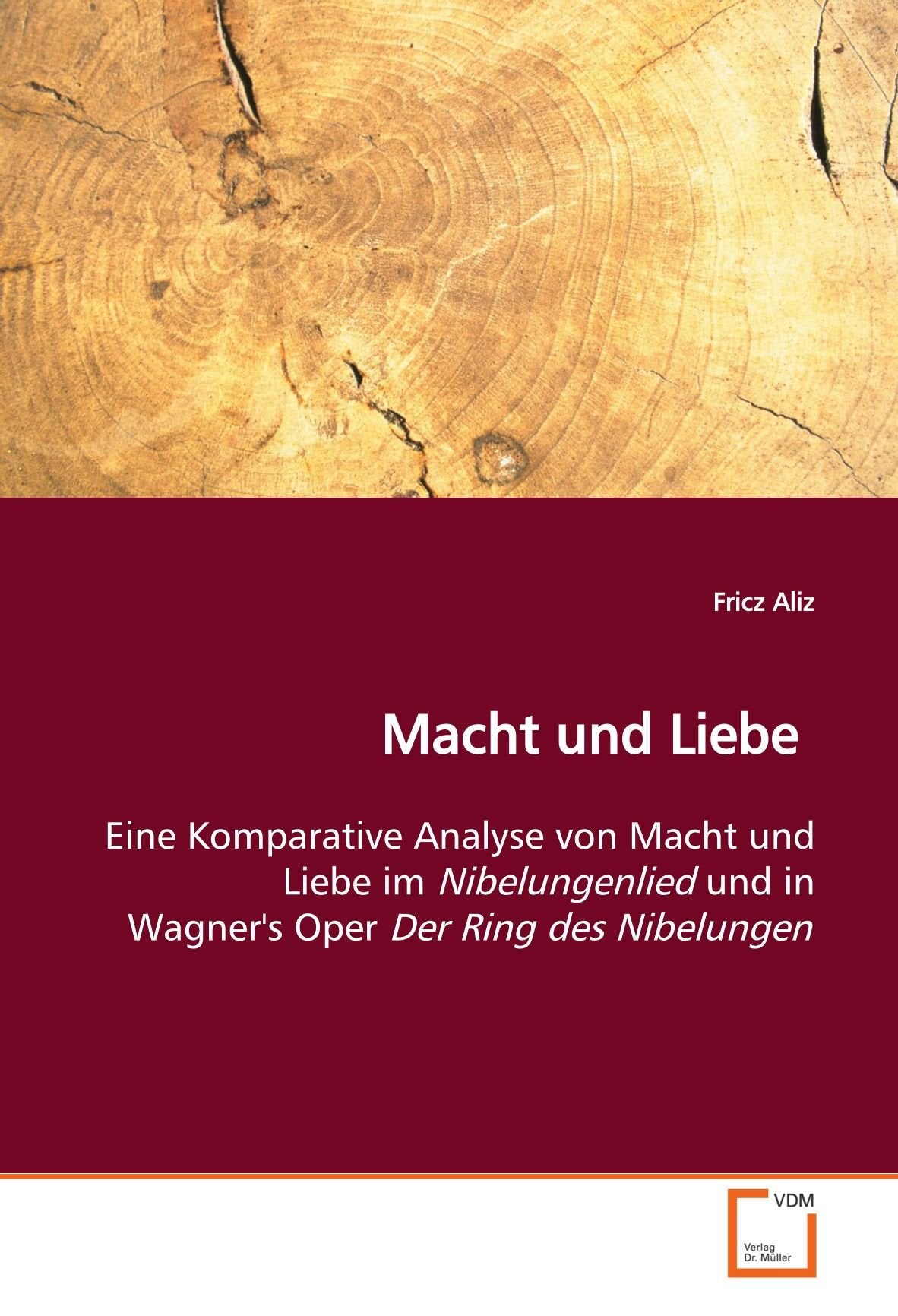 Macht und Liebe: Eine Komparative Analyse von Macht und Liebe im Nibelungenlied und in Wagner's Oper Der Ring des Nibelungen Business & Technology