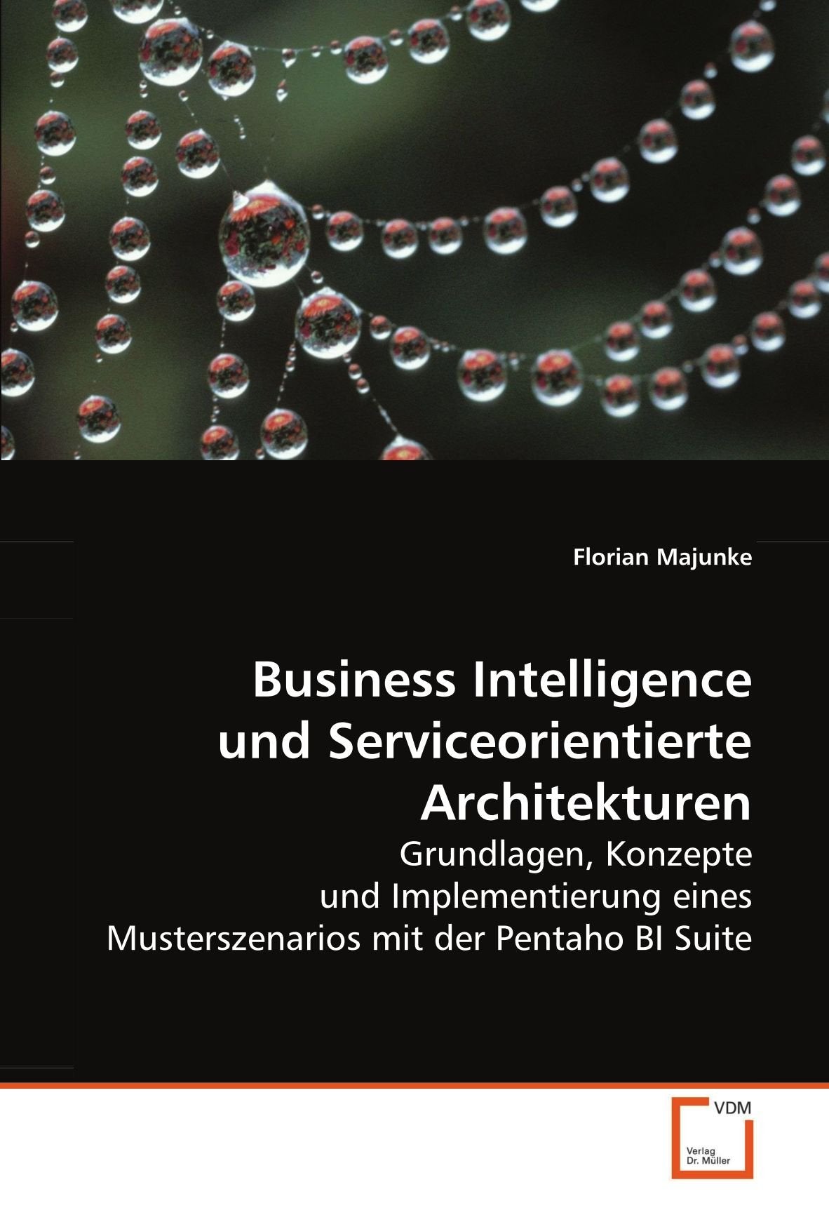 Business Intelligence und Serviceorientierte Architekturen: Grundlagen, Konzepte und Implementierung eines Musterszenarios mit der Pentaho BI Suite Law